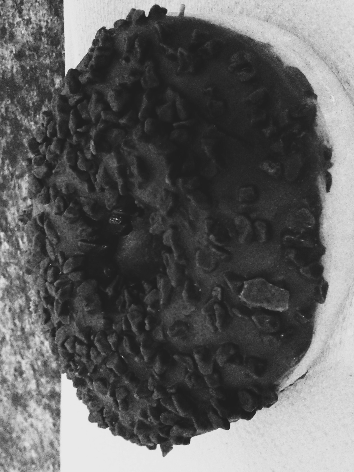 Food Photography, B&W Chocolate Covered Donut Close-up Of Evil Wall Donut Side Pack From Work May 29 2017.jpg