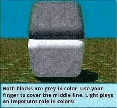 FB_IMG_16497033515439682.jpg
