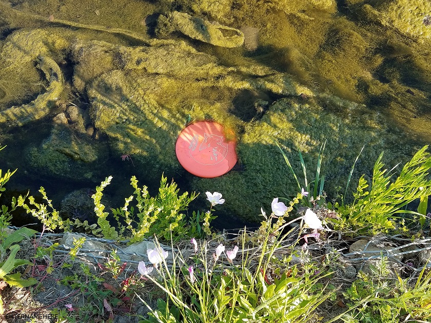 steemit-enternamehere-discgolf-jimmyporter-hole2-water-hazard-840.jpg