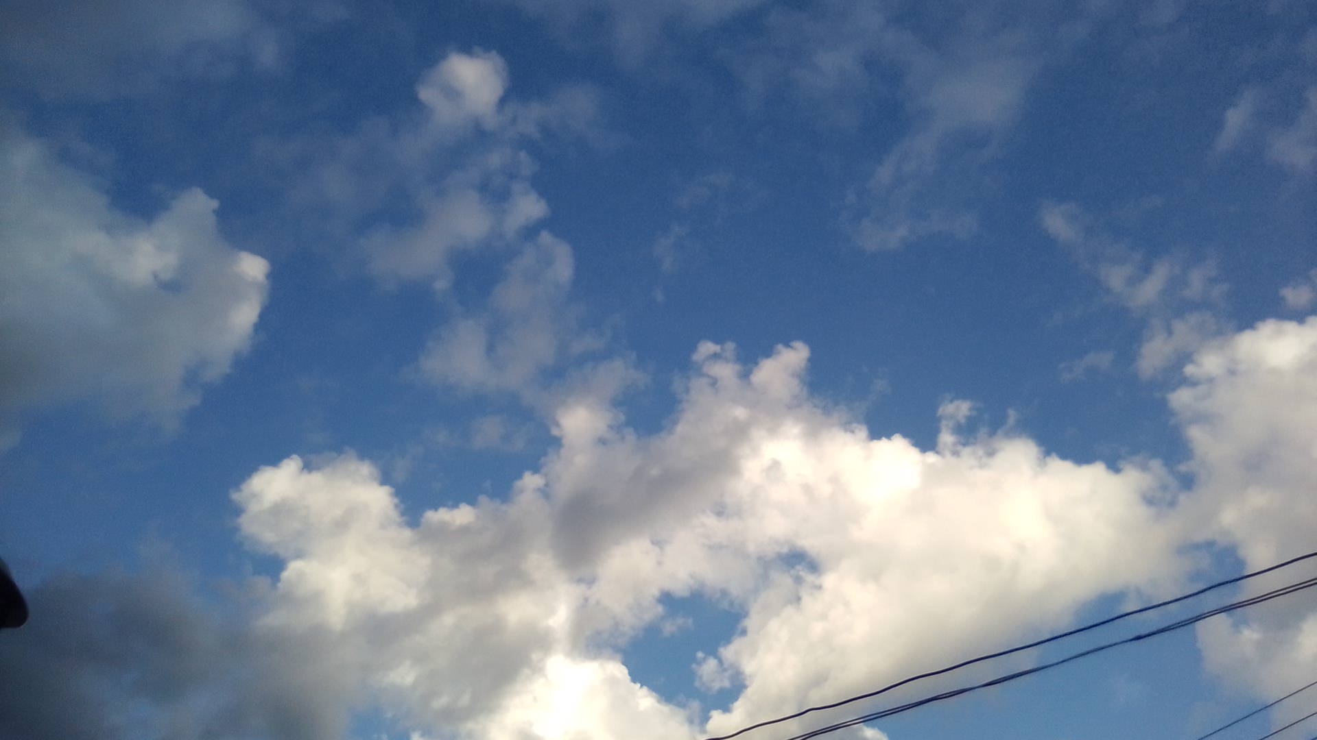 IMG_20221019_172955.jpg