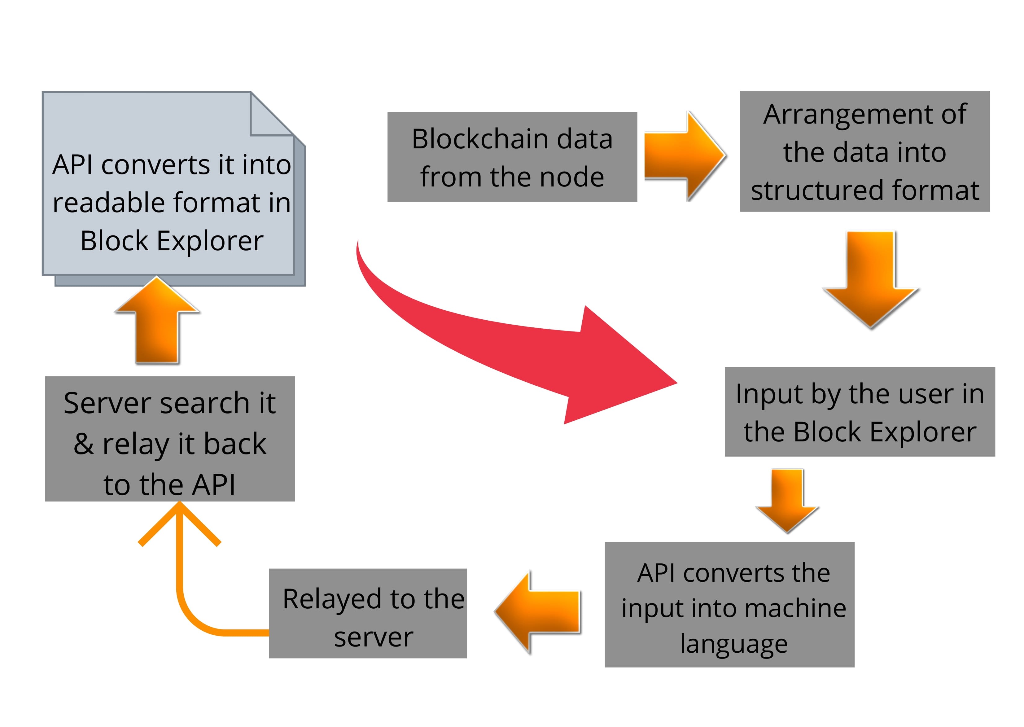 block-explorer.jpg