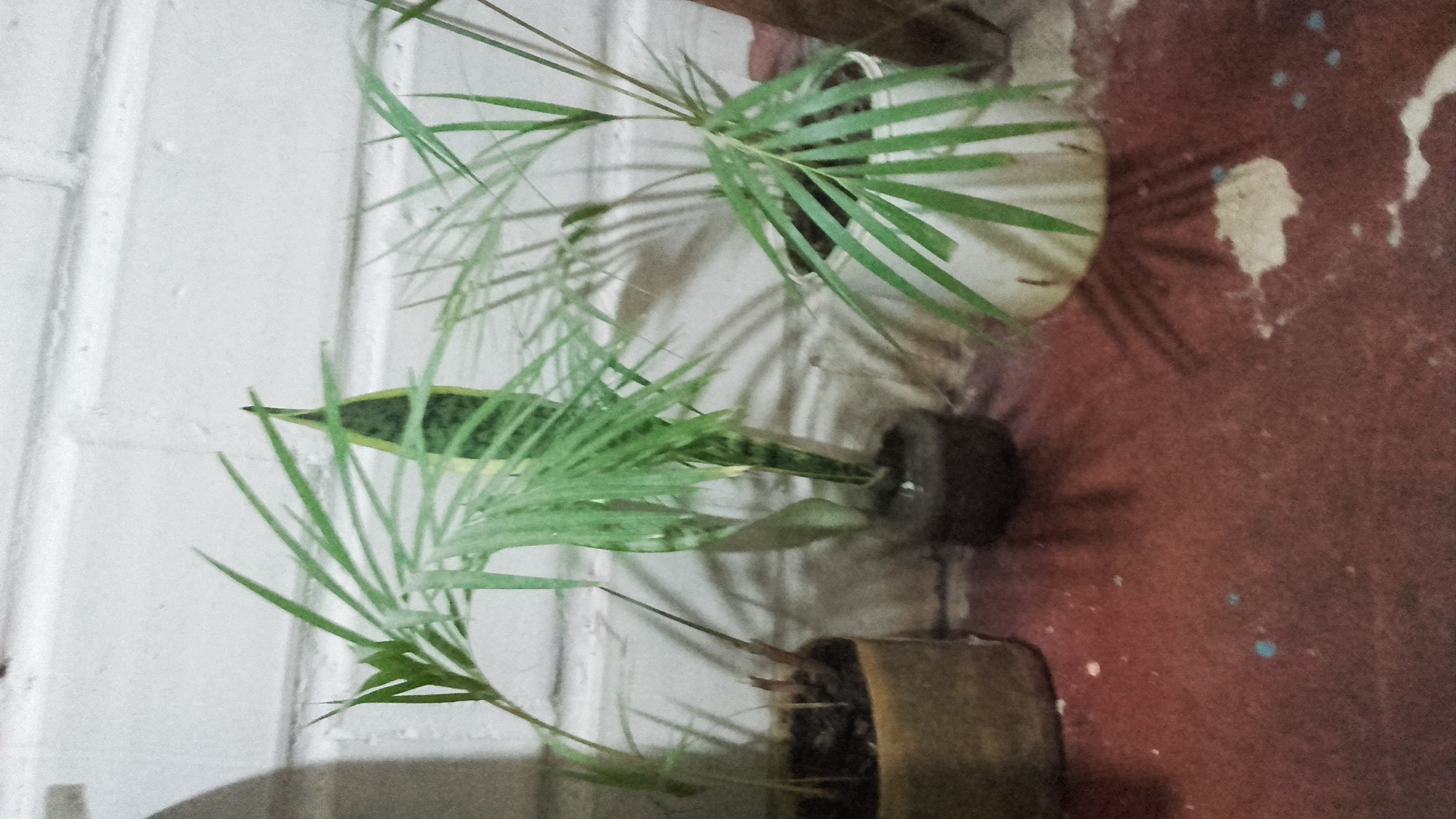 20211029_131455.jpg