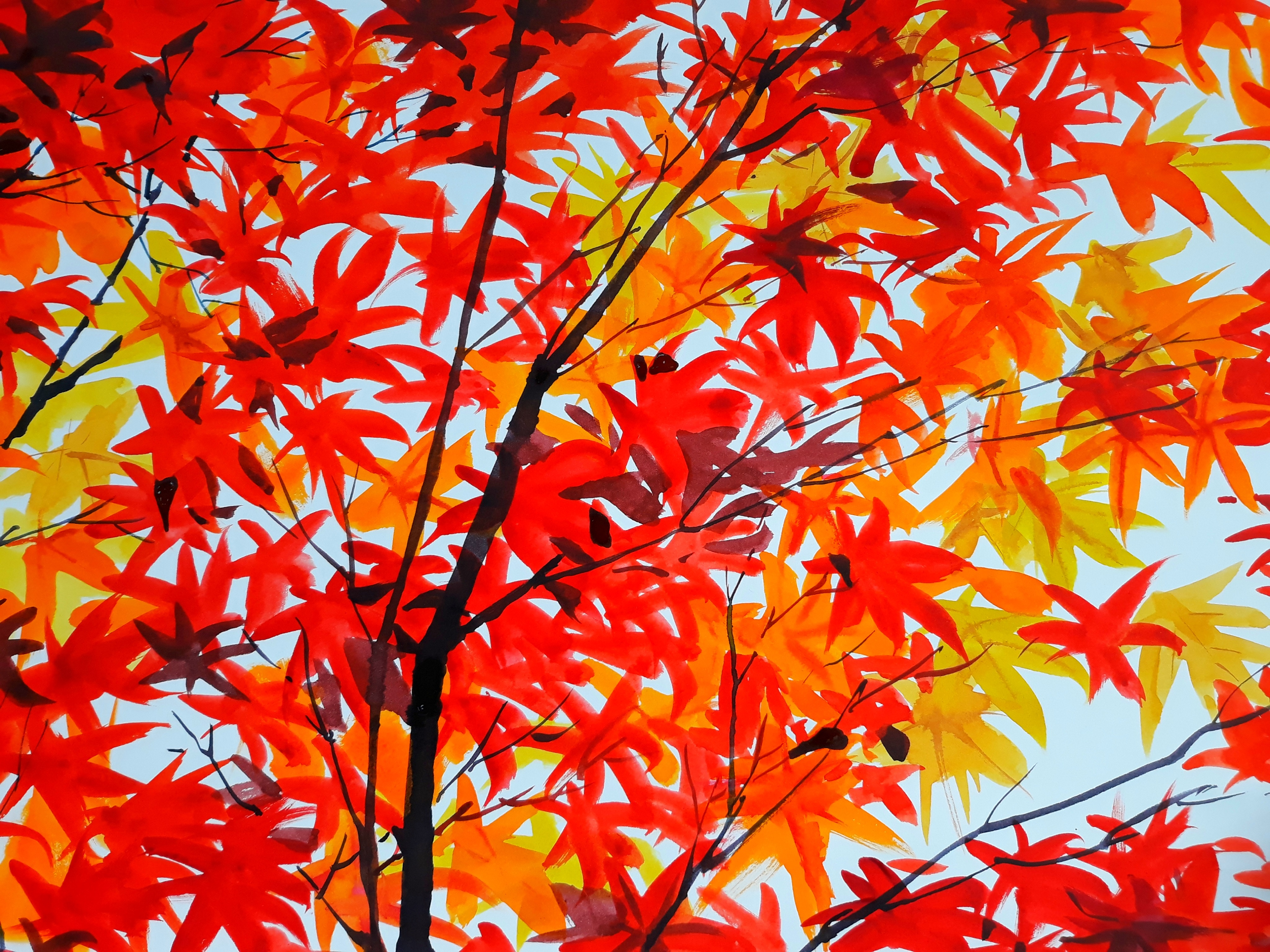 ColorChallenge - MondayRed - A picture of the last maple leaf/ from @sintai,s photo