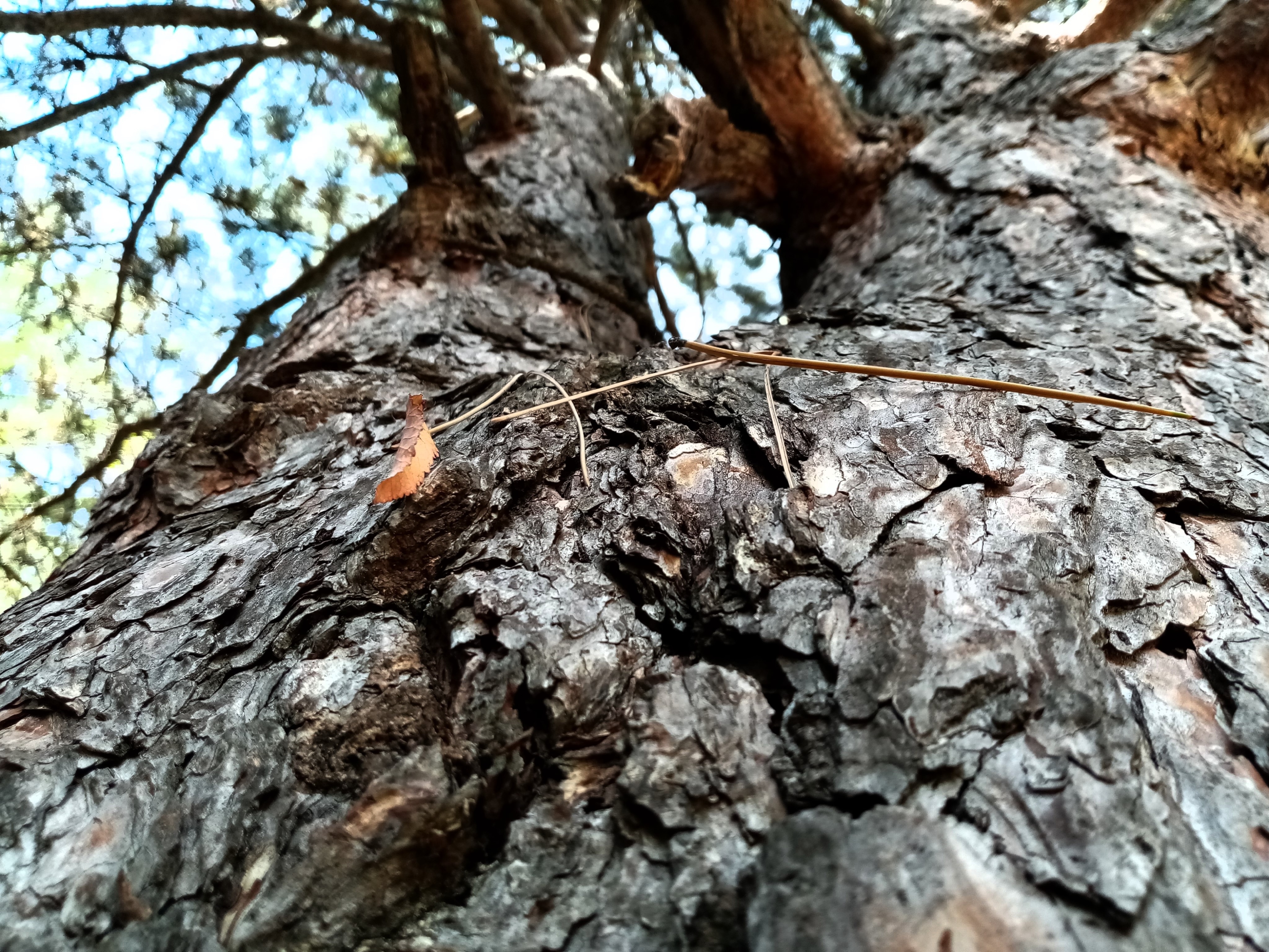 20191017_215640.jpg