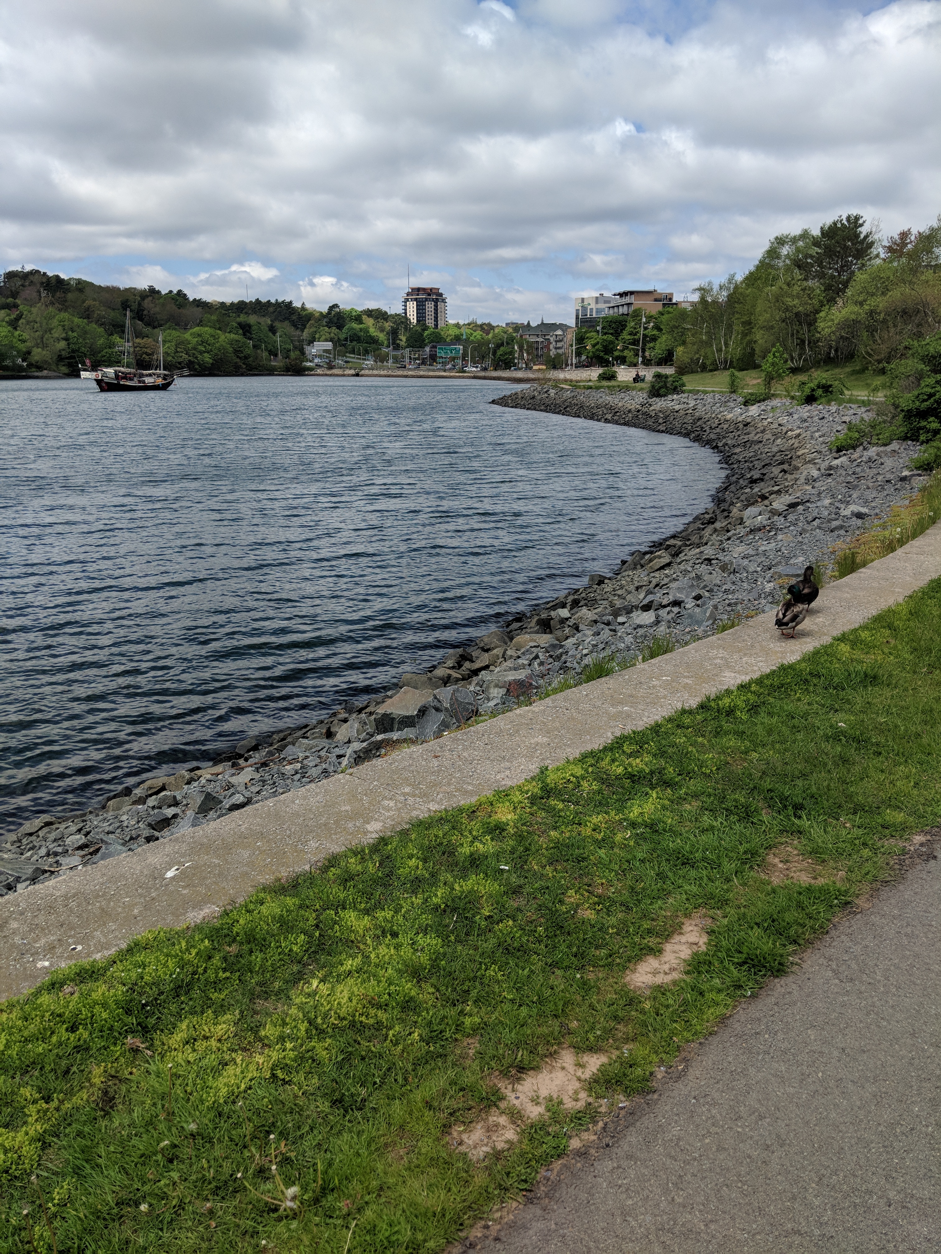IMG_20180529_125322.jpg