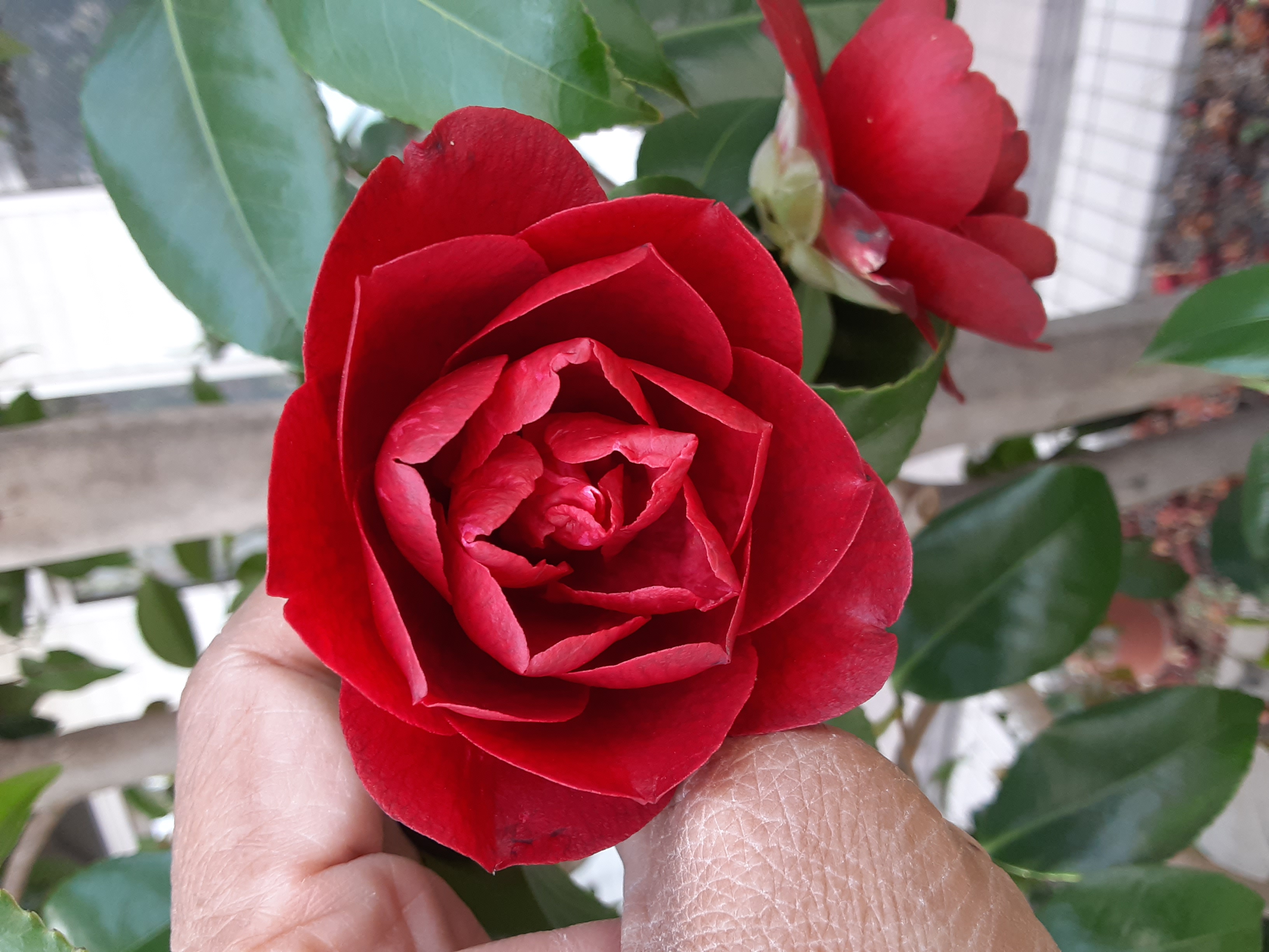 20230411_121755.jpg