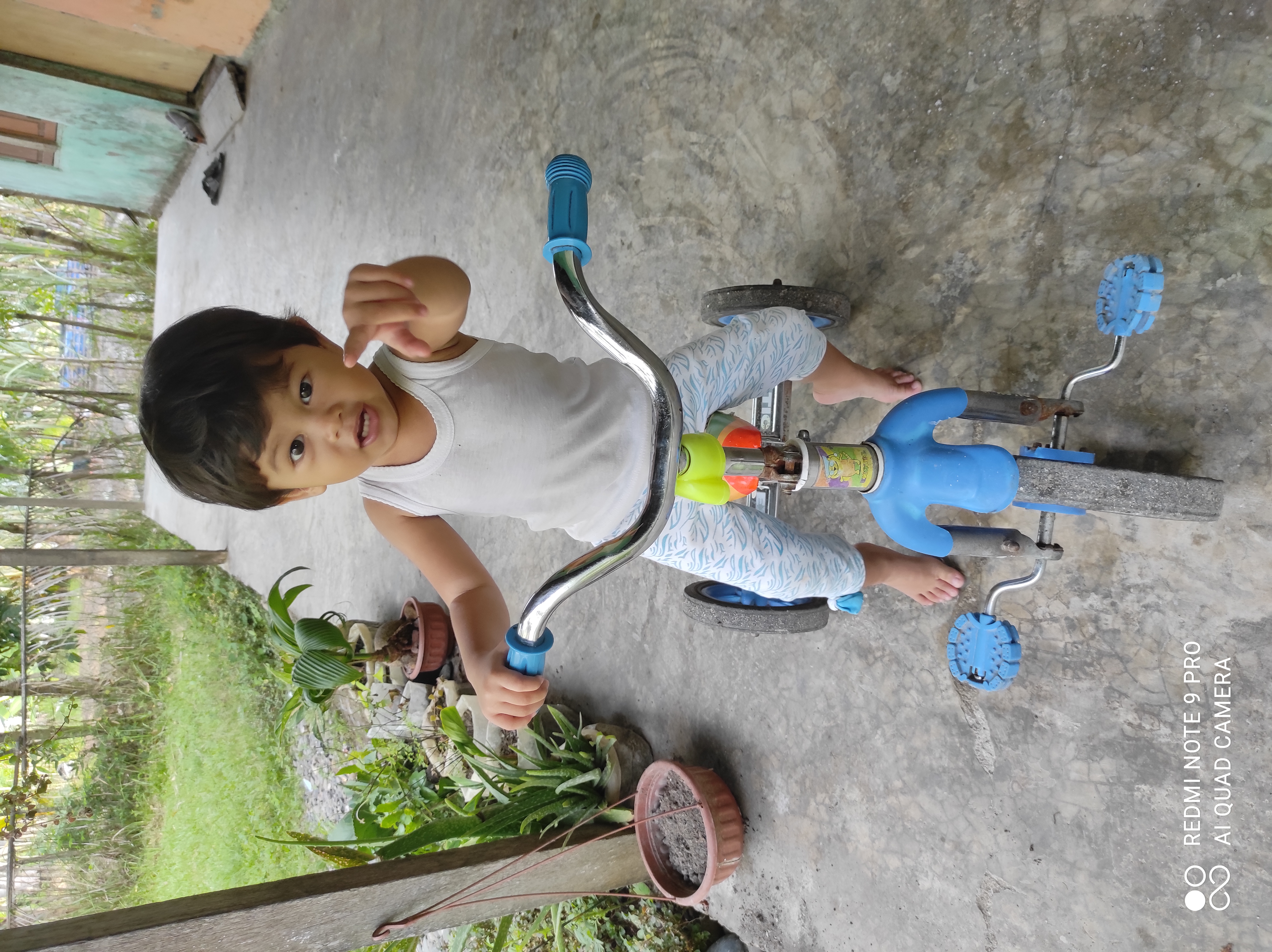 IMG_20201210_074947.jpg