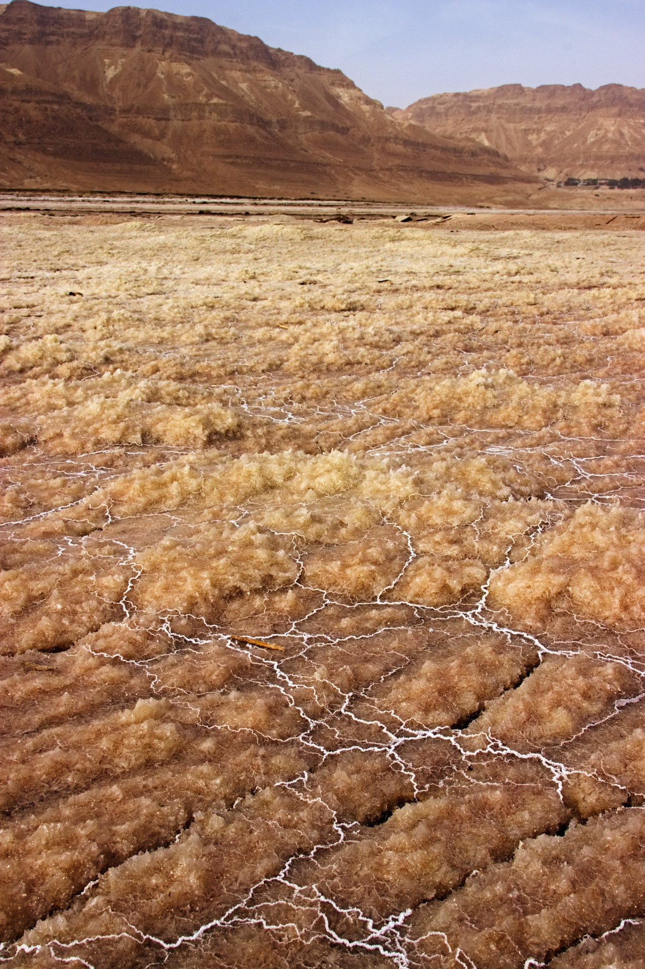 Heron_Benjamin_Dead Sea_01.jpg