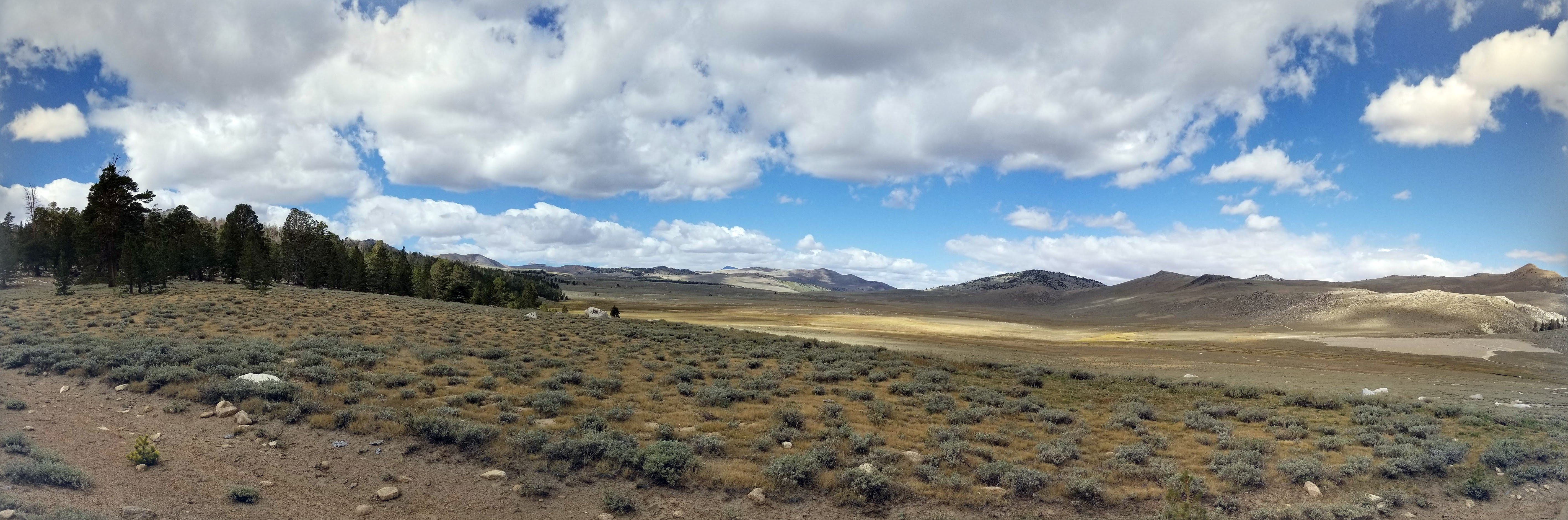 20190923_121445-PANO.jpg