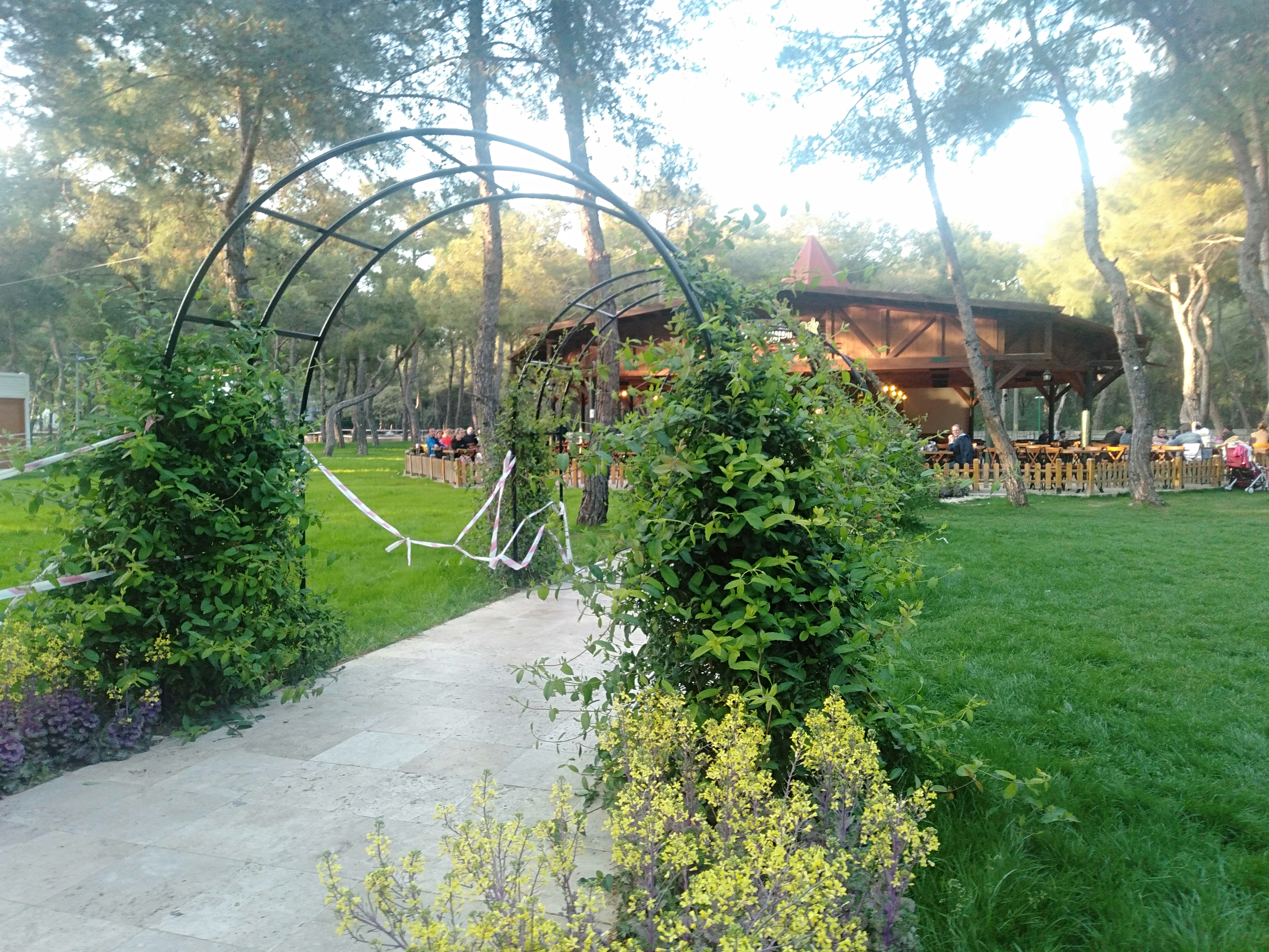 IMG20220415184348.jpg