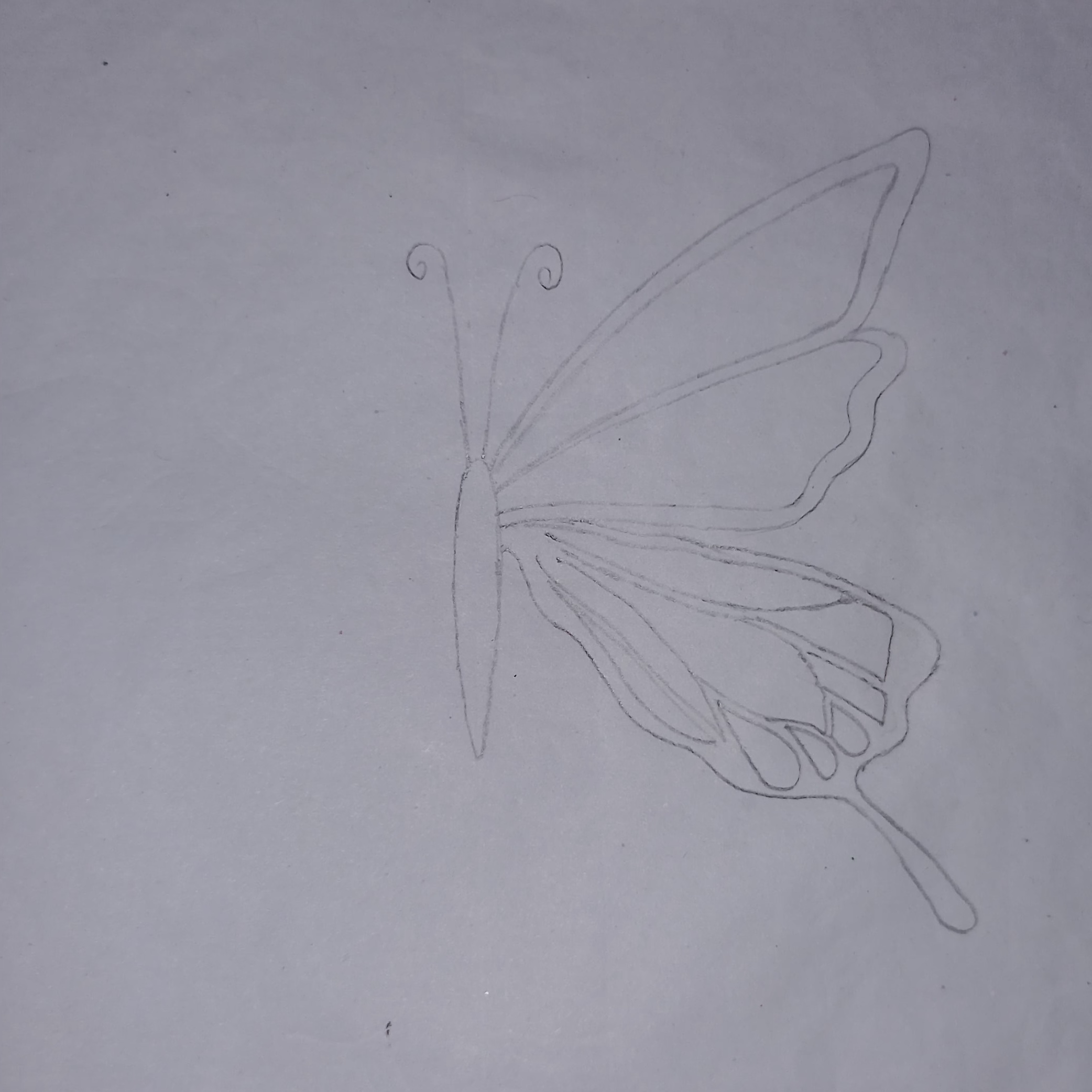 20260510_215259.jpg