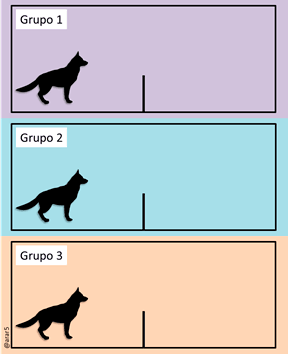 Parte-2-experimento-triadico.gif