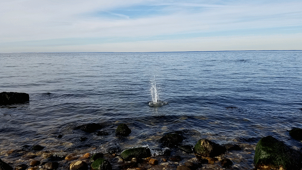 20190117_143744_001-ANIMATION.gif