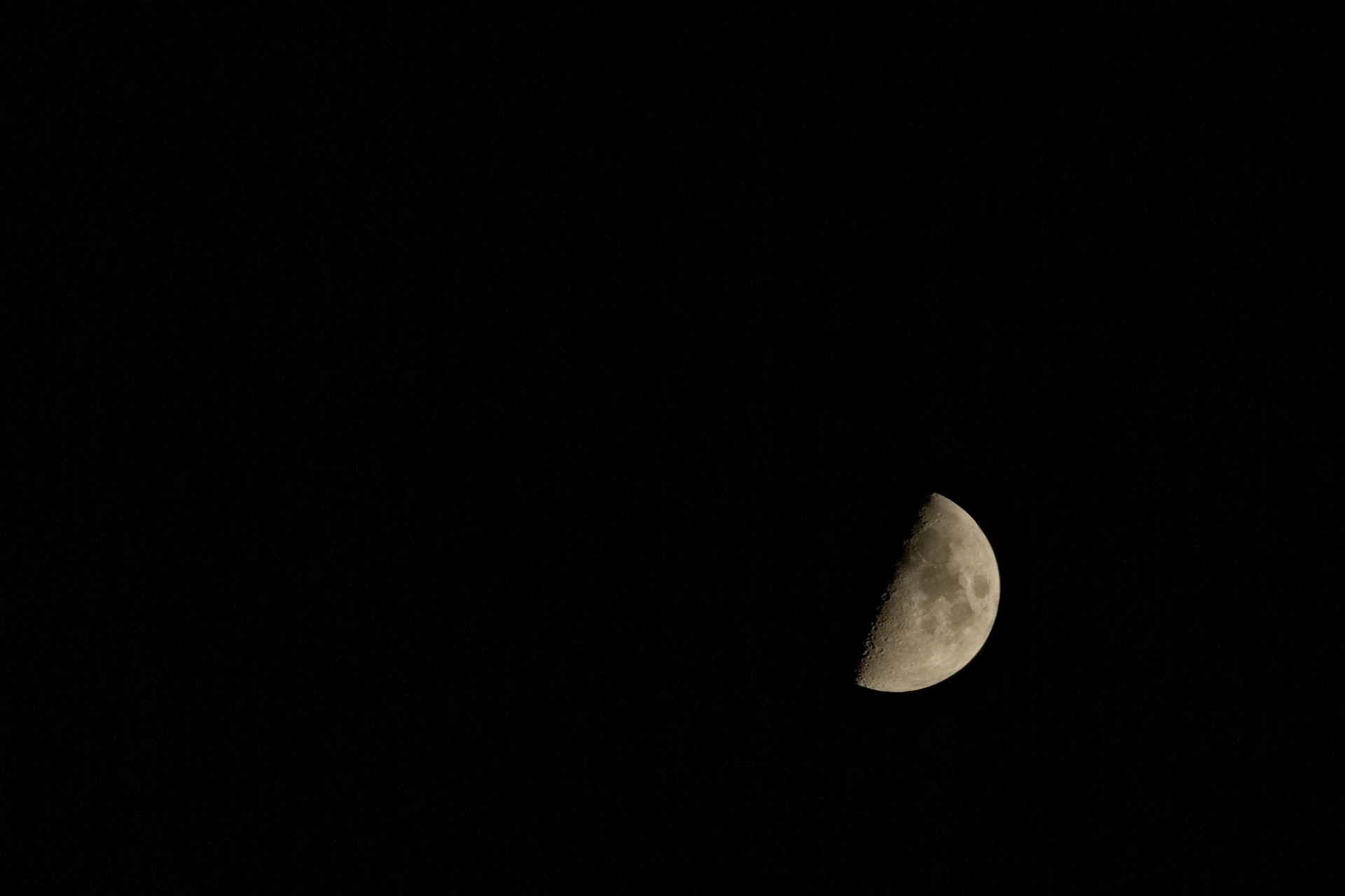 IMGP4605.jpg