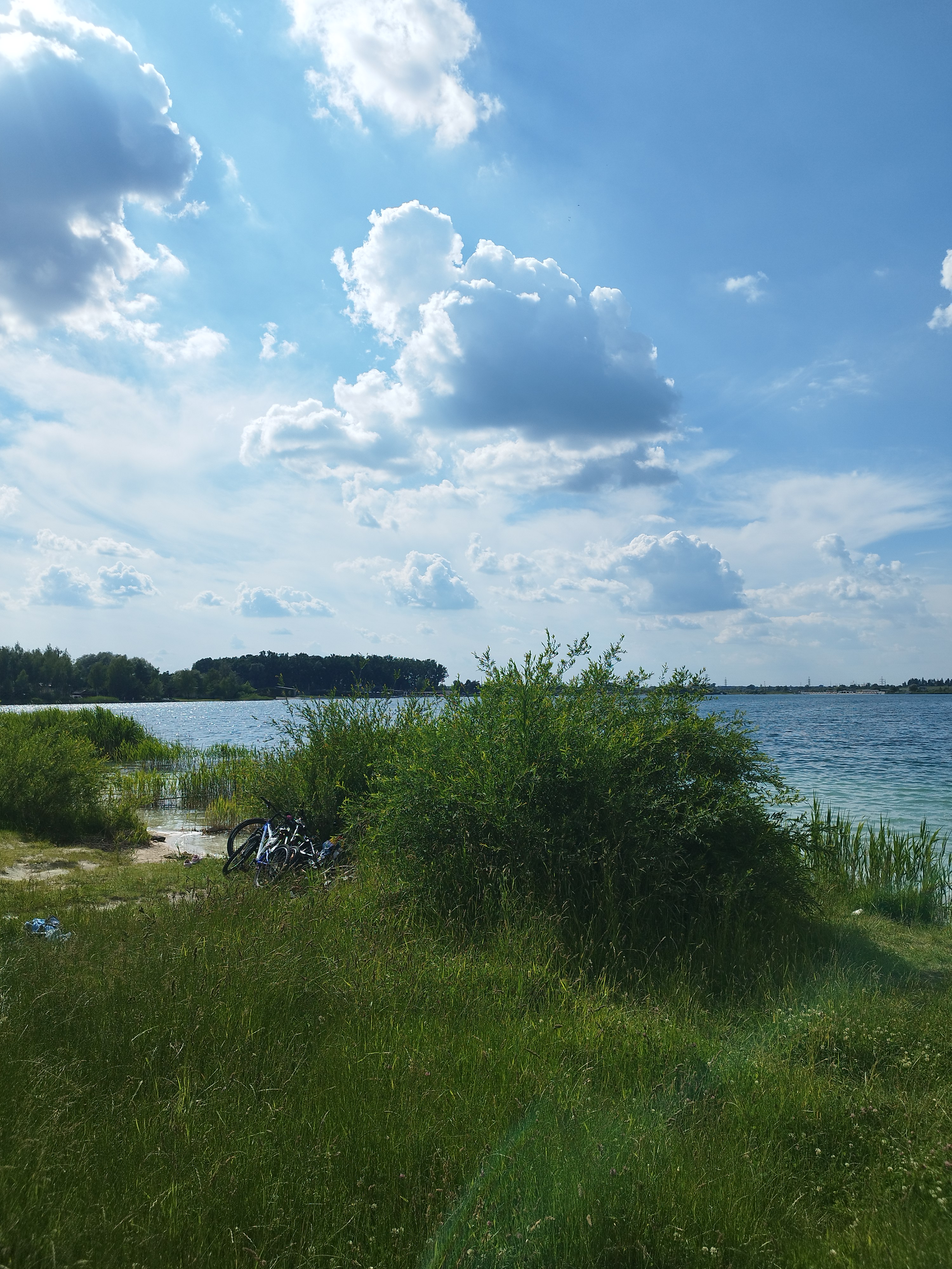 IMG_20260619_165143.jpg
