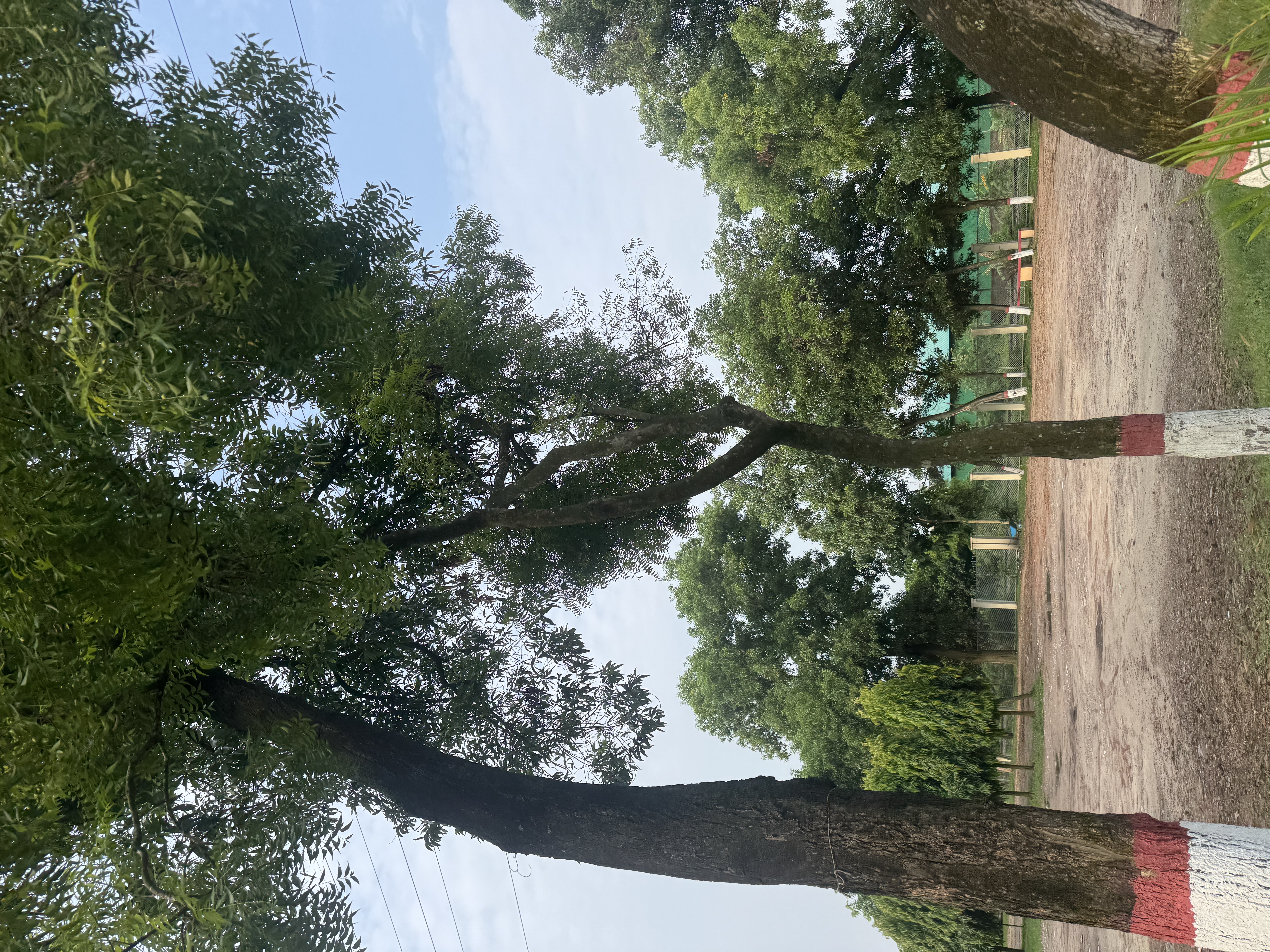 IMG_7217.jpeg