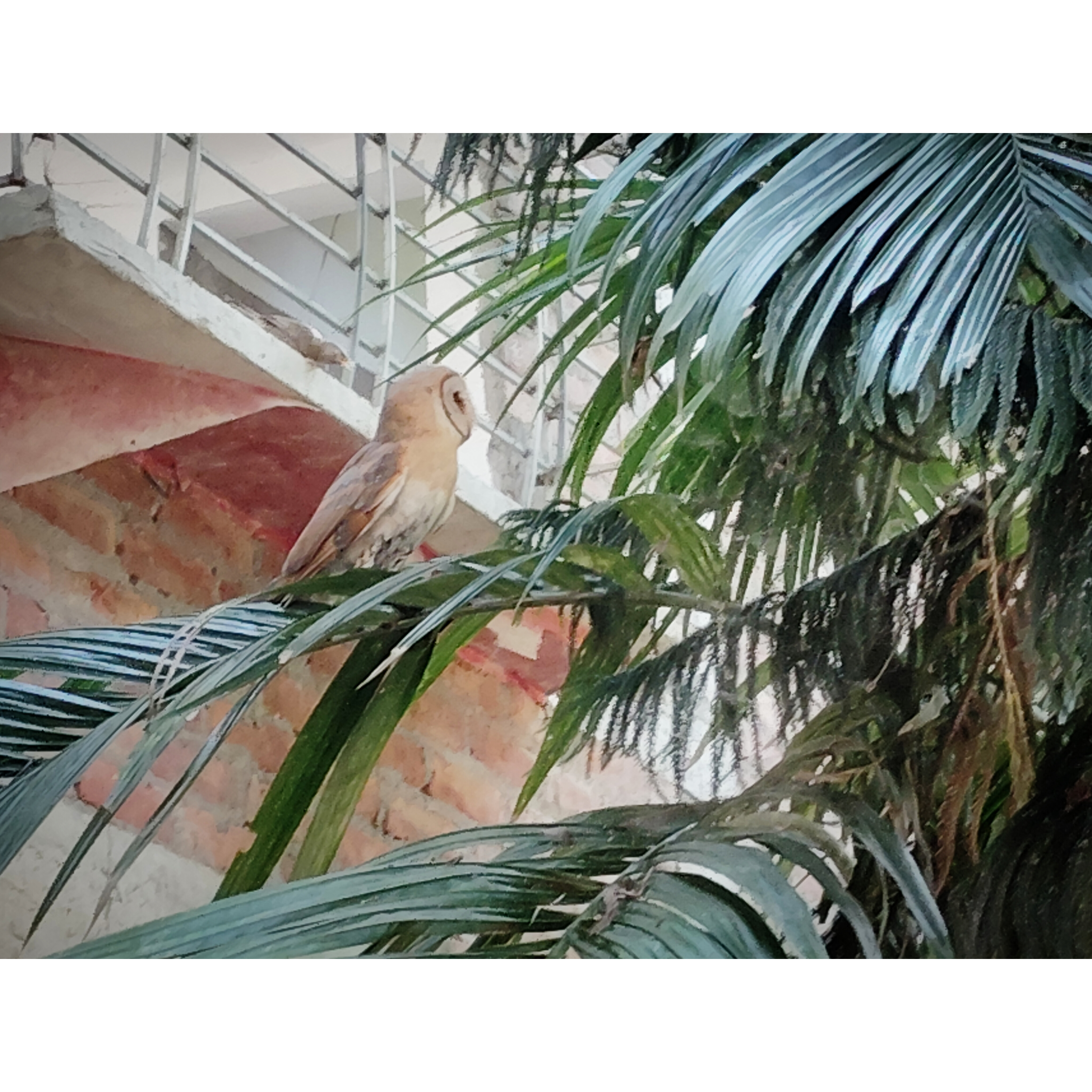 InShot_20240210_221109833.jpg