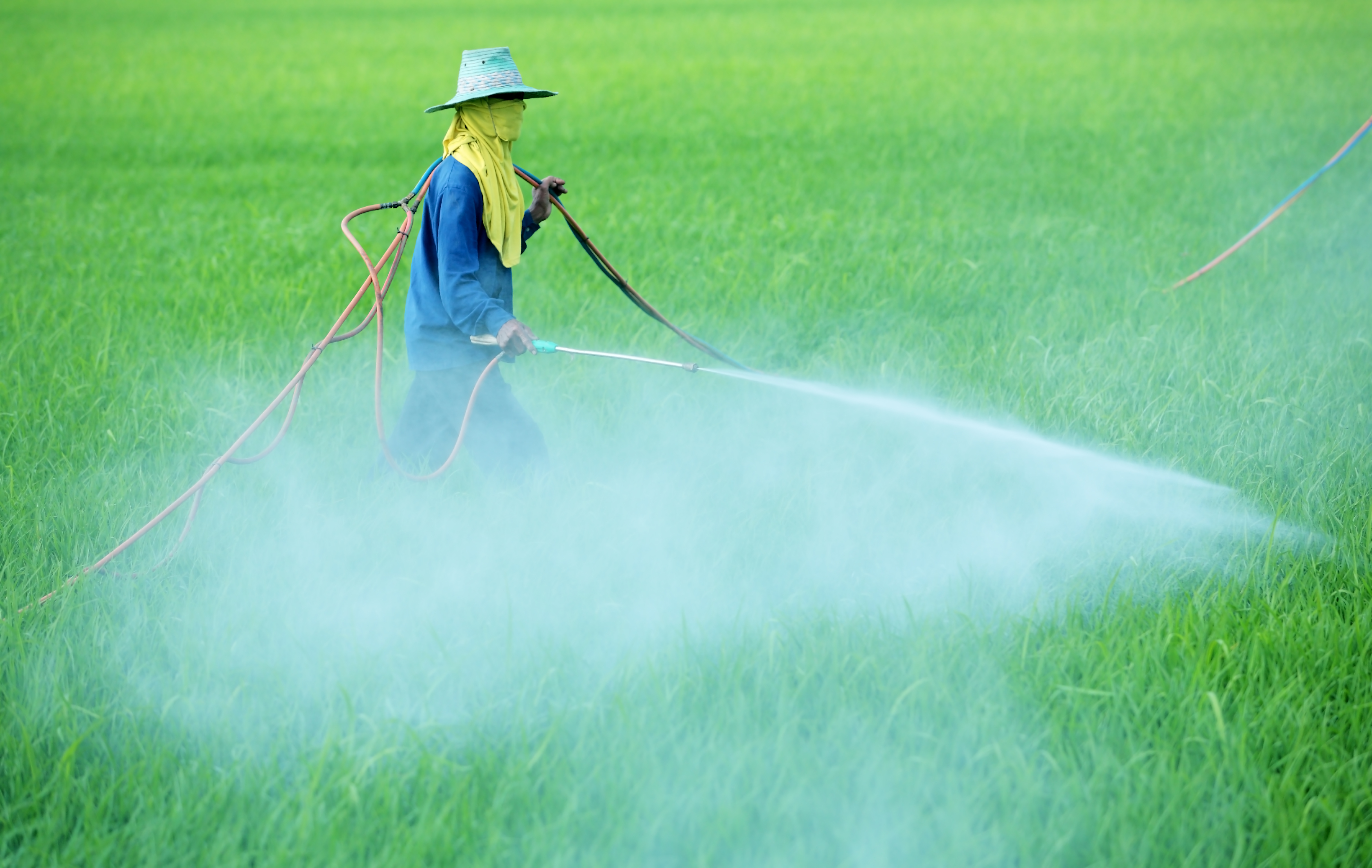 pesticide2703.jpg