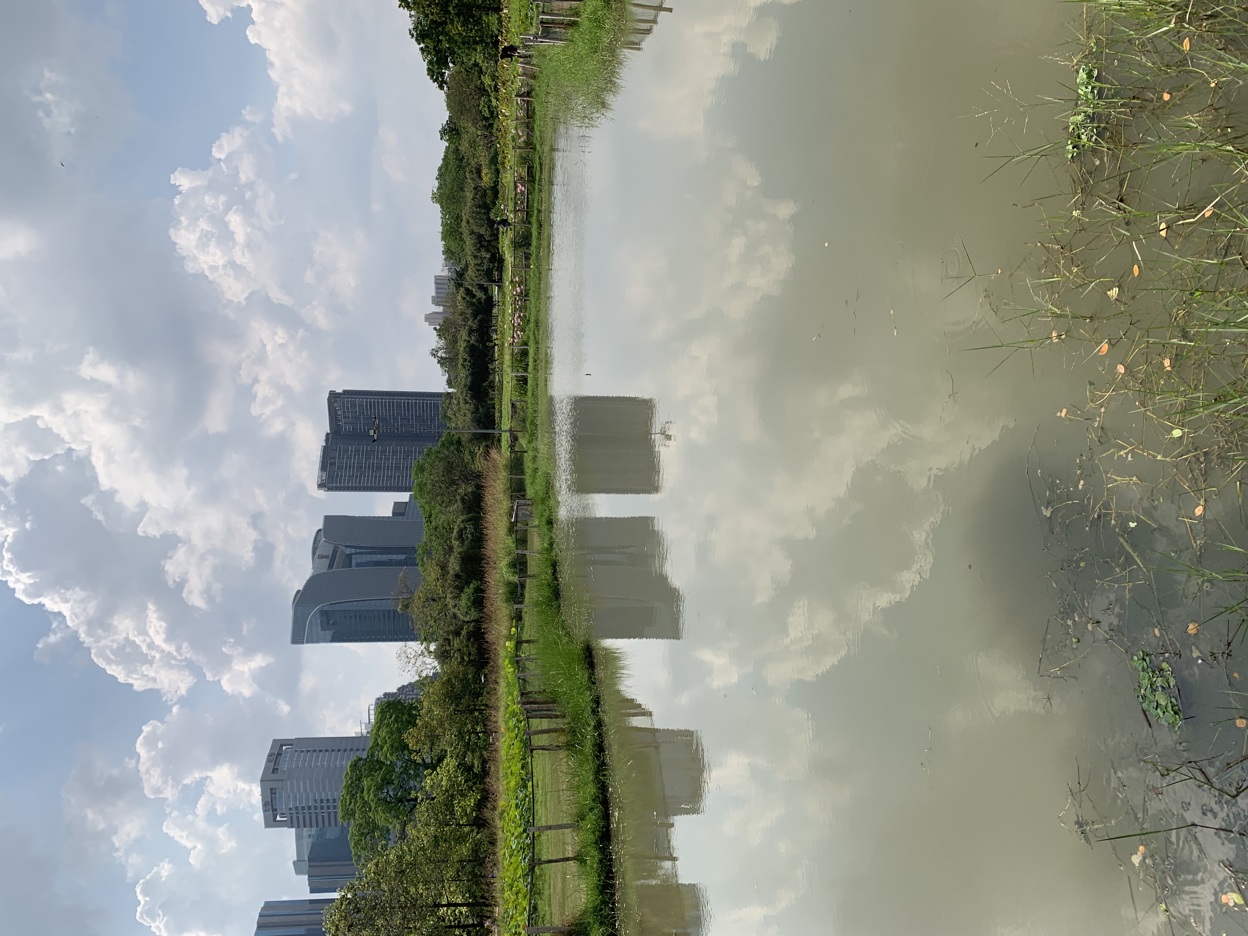 Suan Rot Fai6.jpg