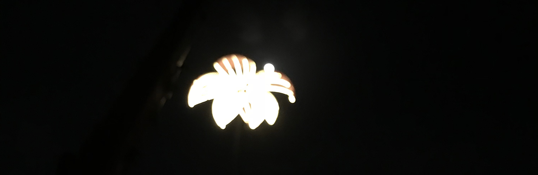 Screenshot at 5월 28 00-18-52.png