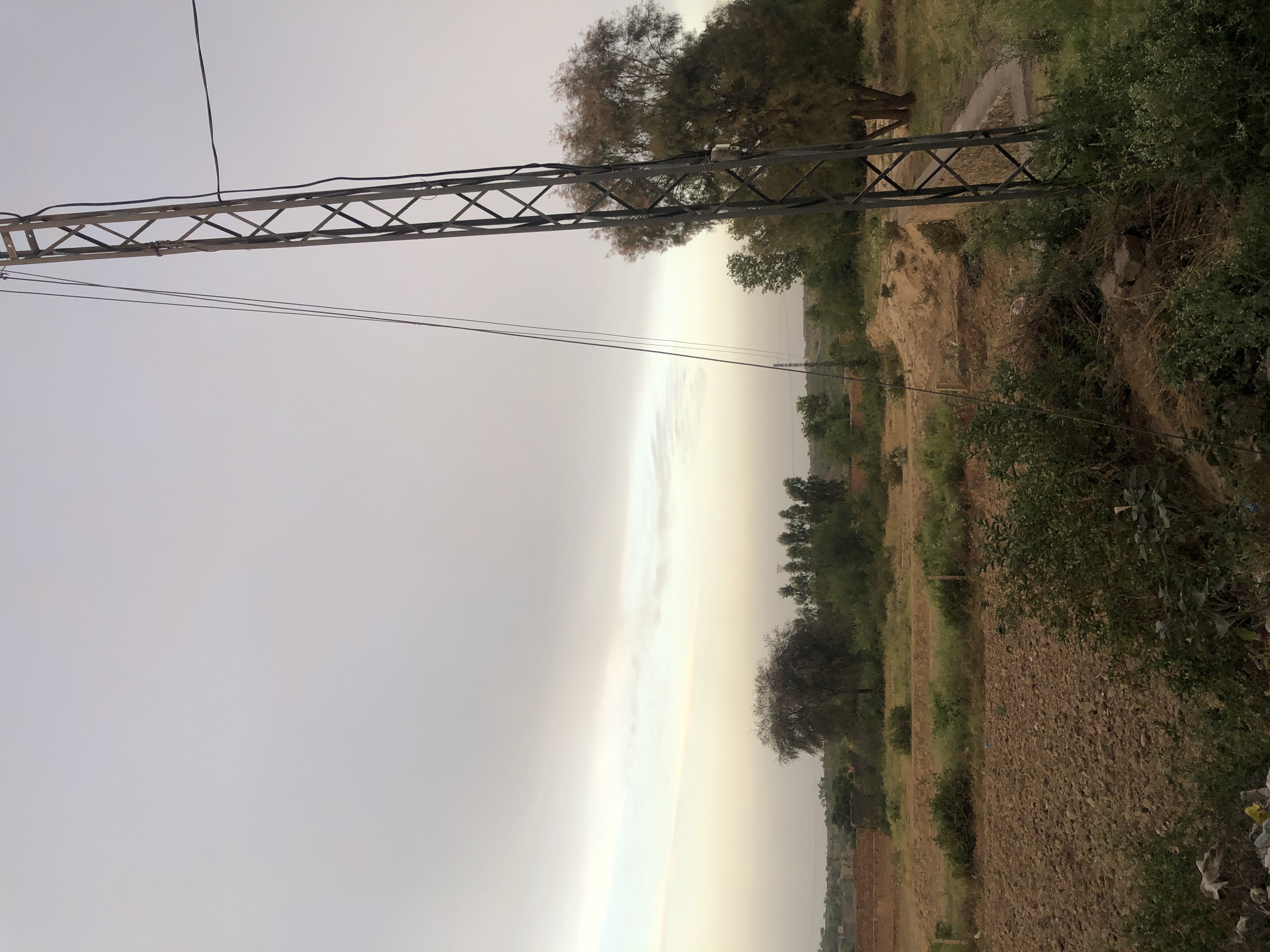 IMG_8658.jpeg