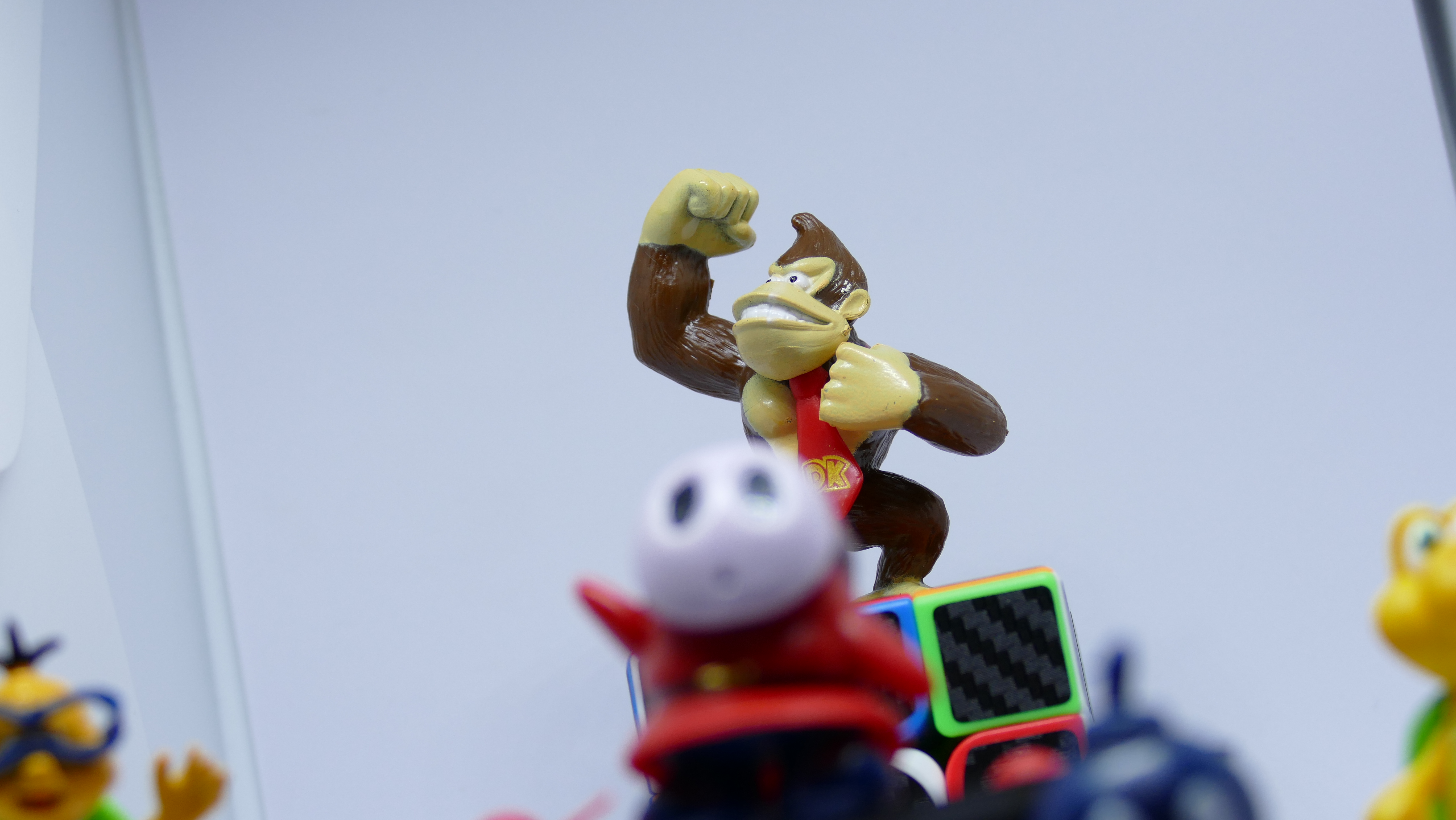 Donkey Kong Dictator (2).JPG