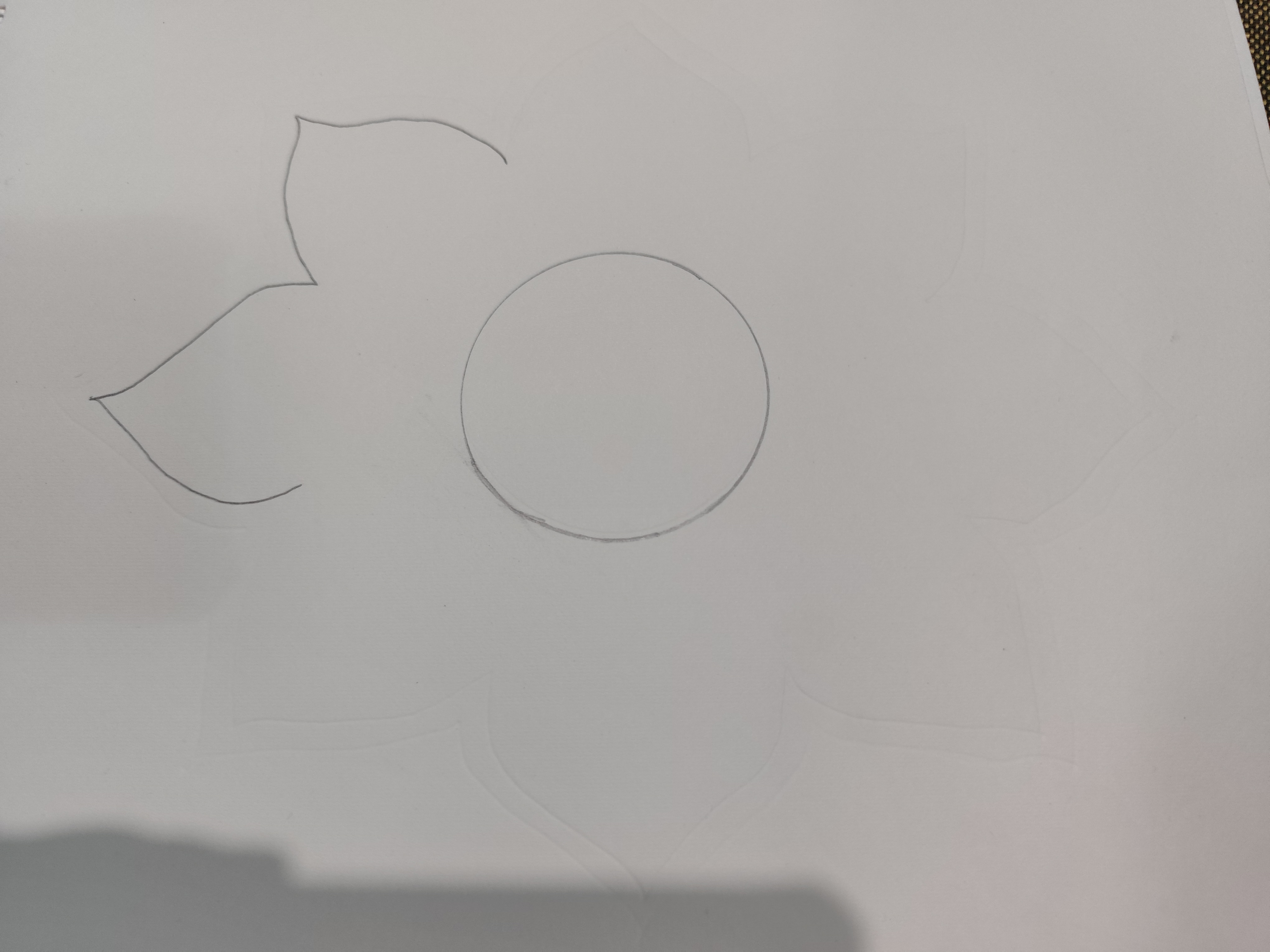 1000030191.jpg