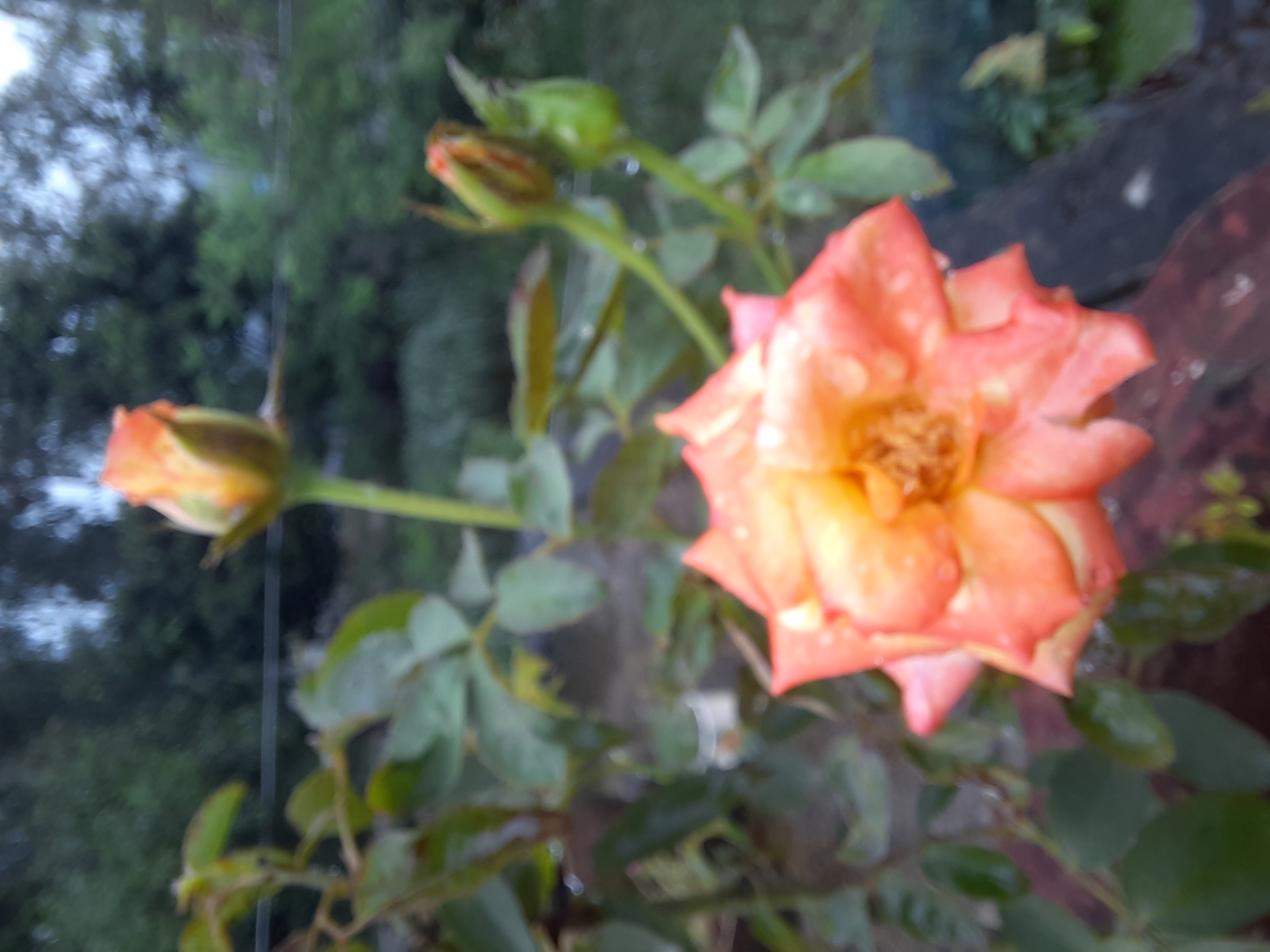 20230825_075918.jpg