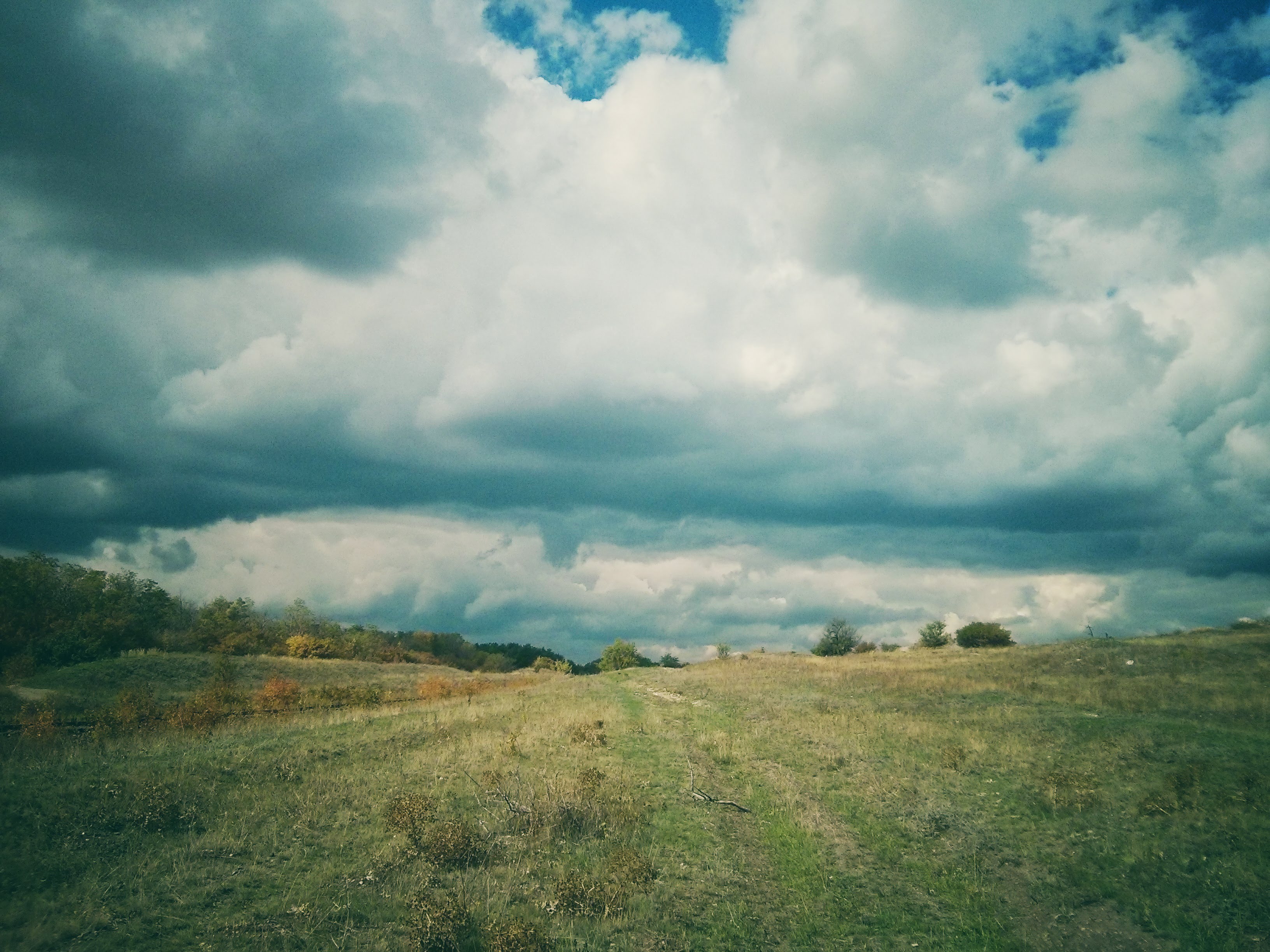 IMG_20130922_130459-01.jpeg