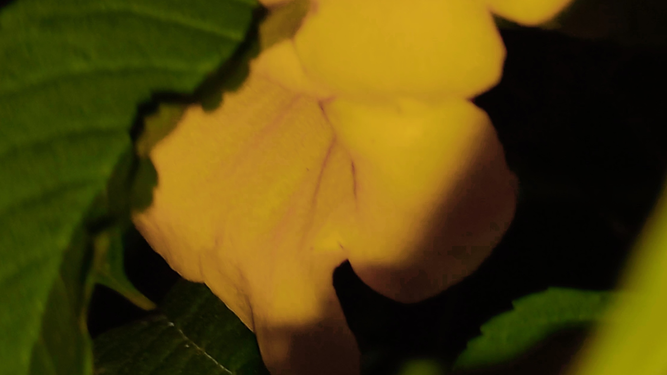 20240218_020036.jpg