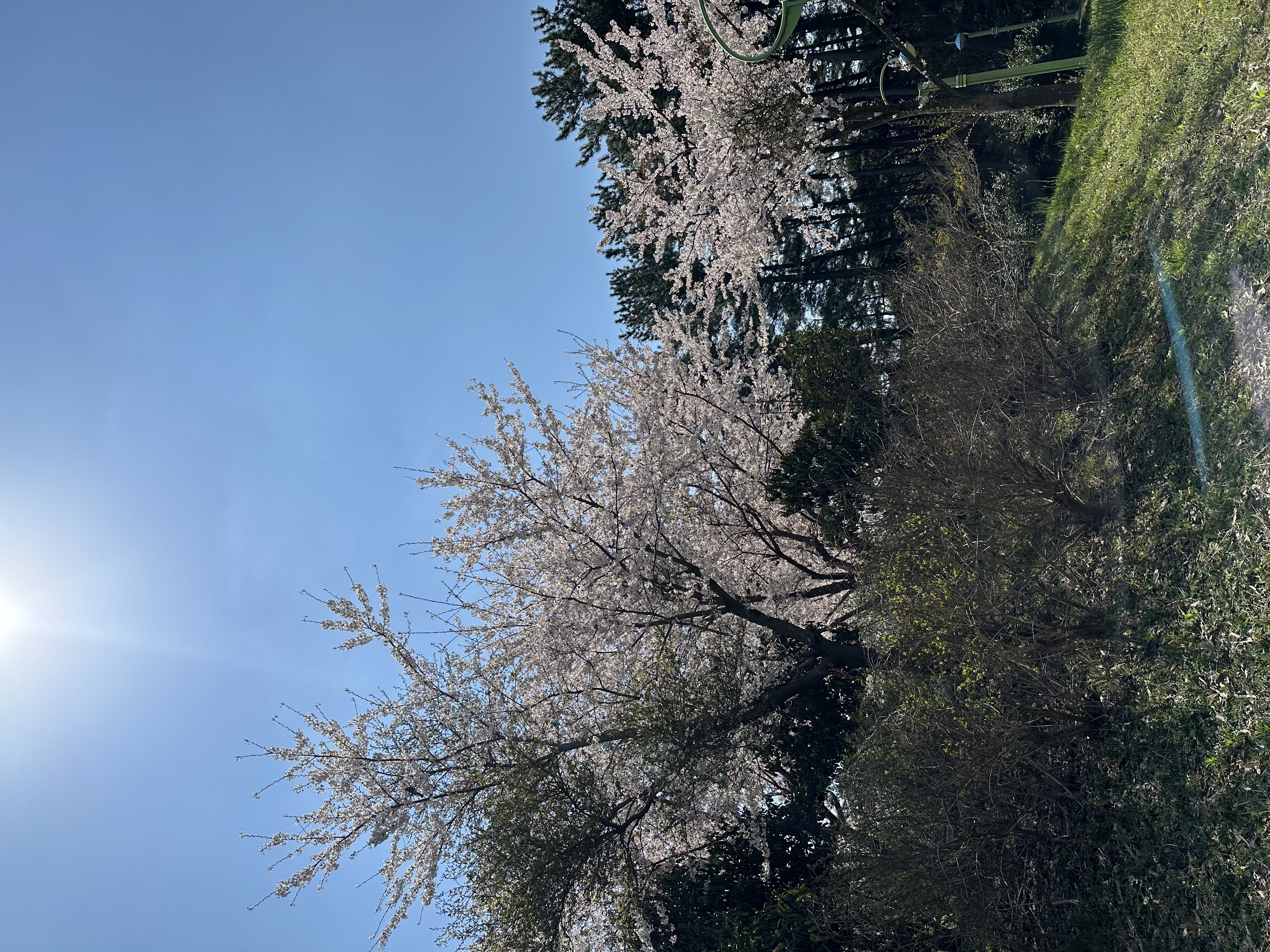 9DD92EA6-E62B-468C-A6DC-4506F5044D0C.jpeg