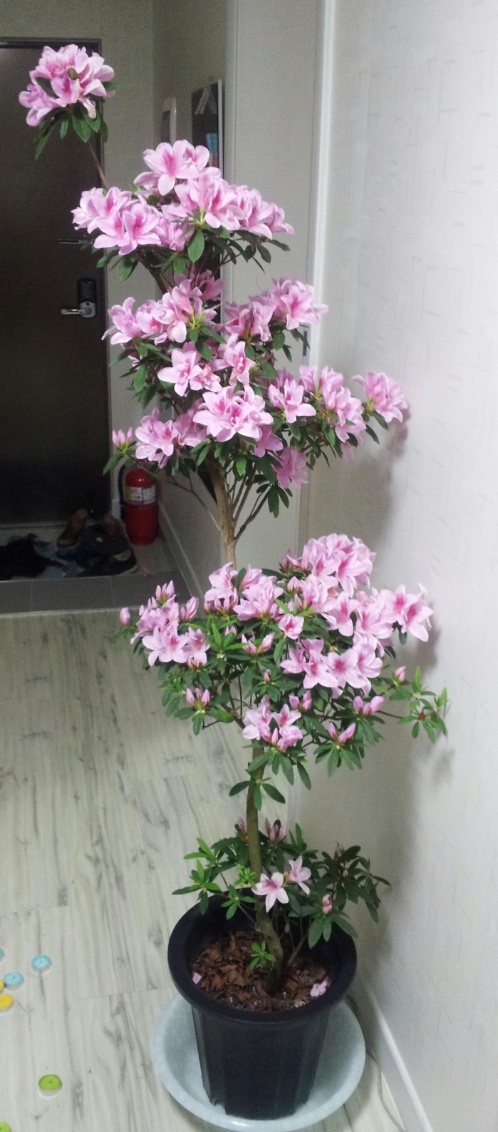 CYMERA_20191129_114541.jpg