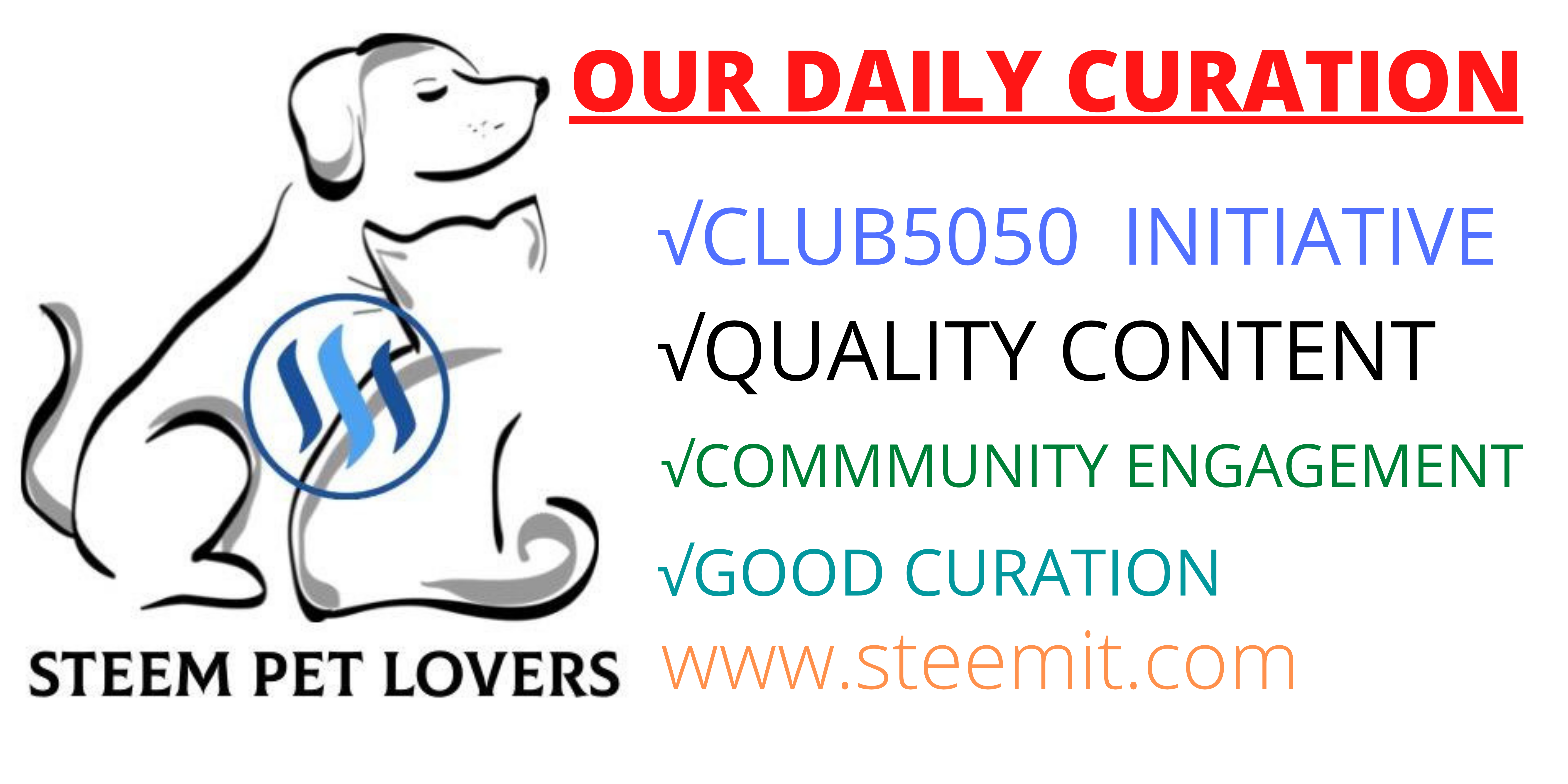 0001-15236641306_20211224_065238_0000.png