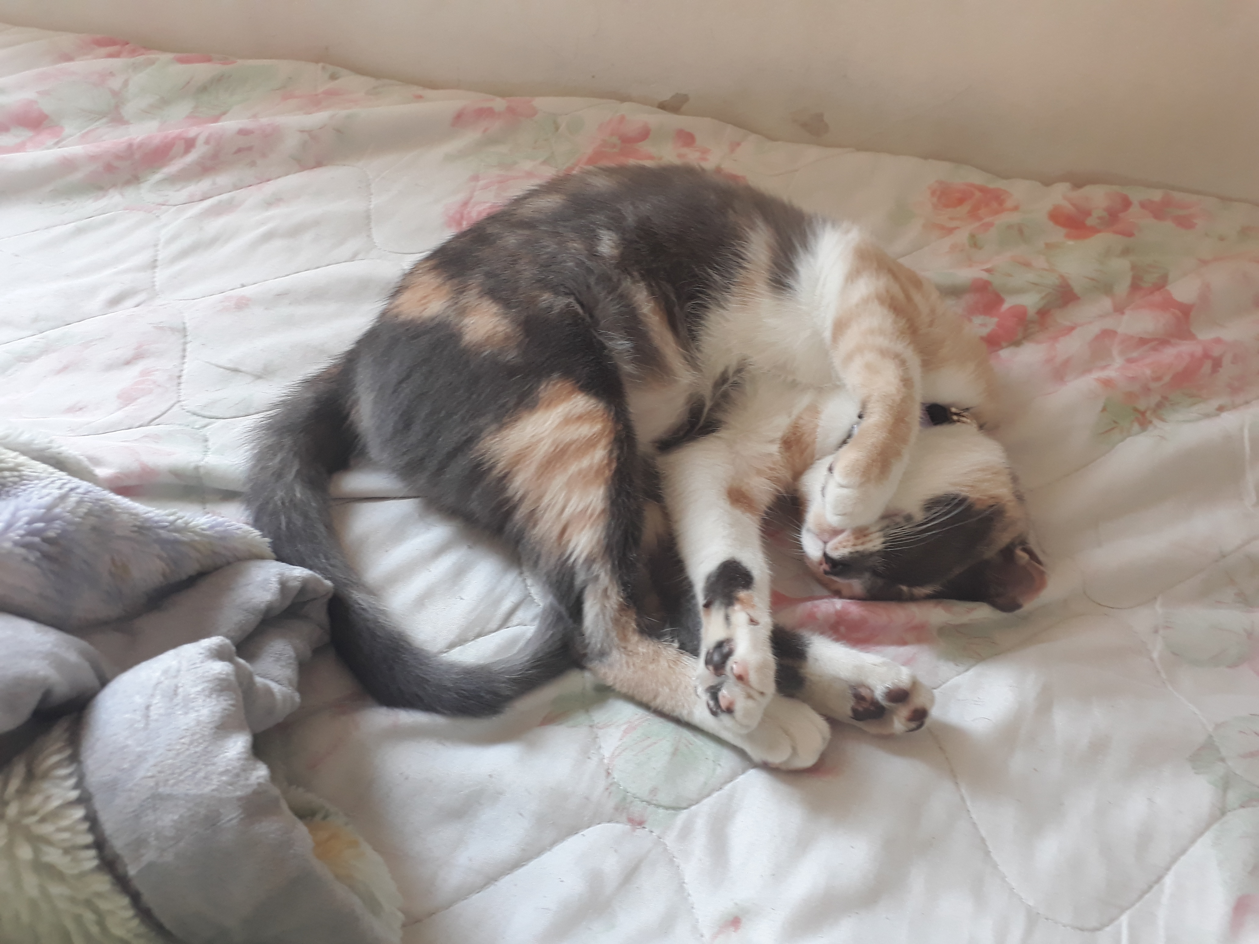 20170826_151341.jpg