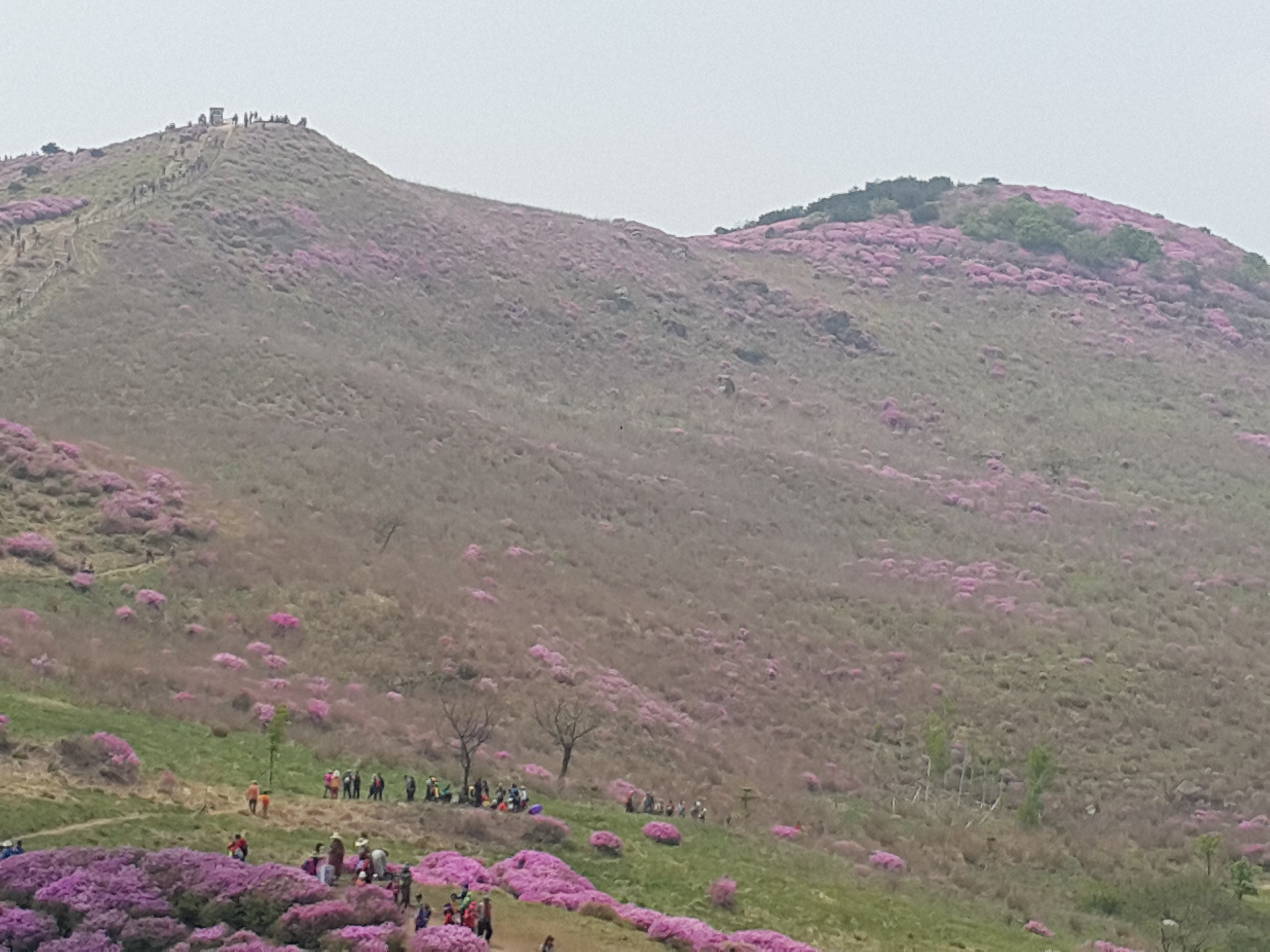 20150510_131402.jpg