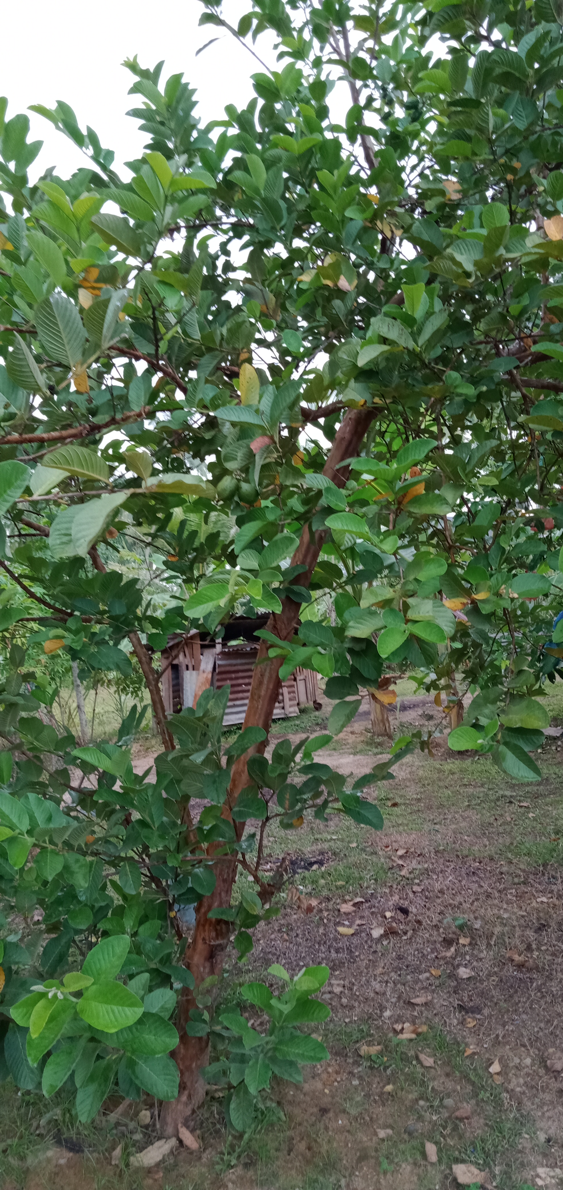 IMG20210426164947.jpg