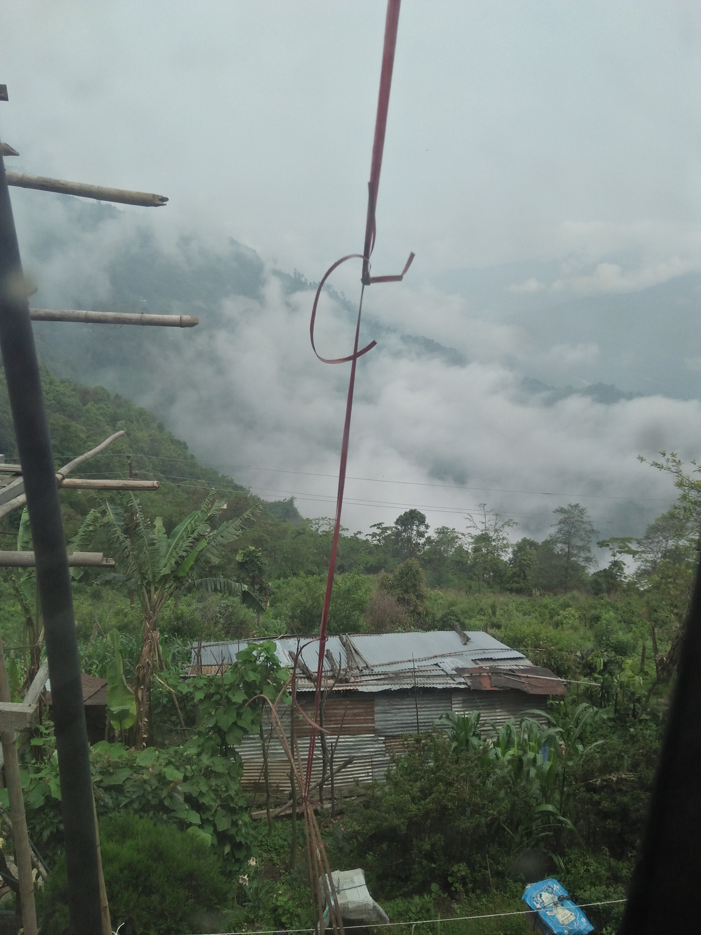 IMG20180527095009.jpg