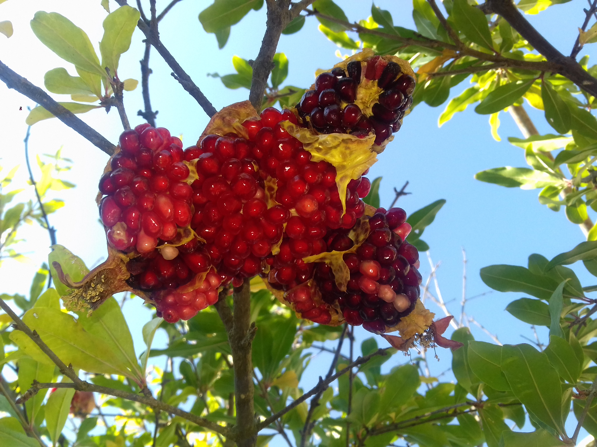 20180924_101730.jpg