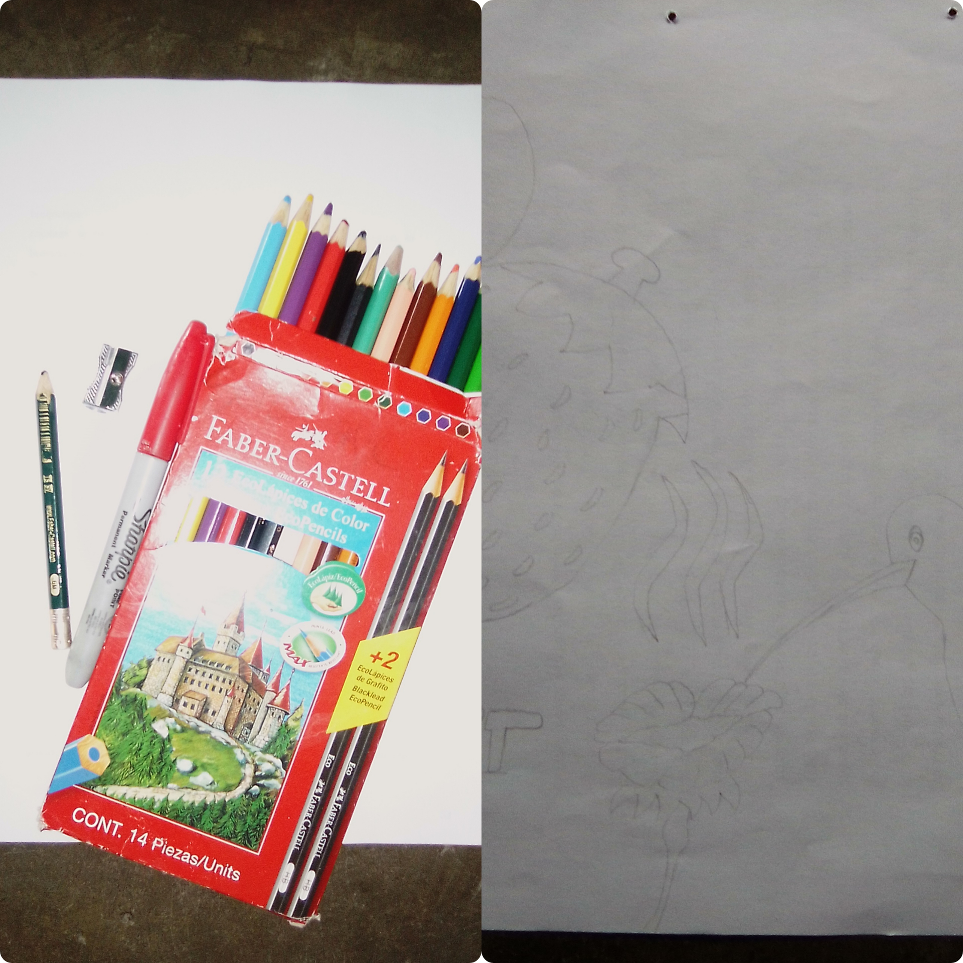 CollageMaker_20210607_155448139.jpg