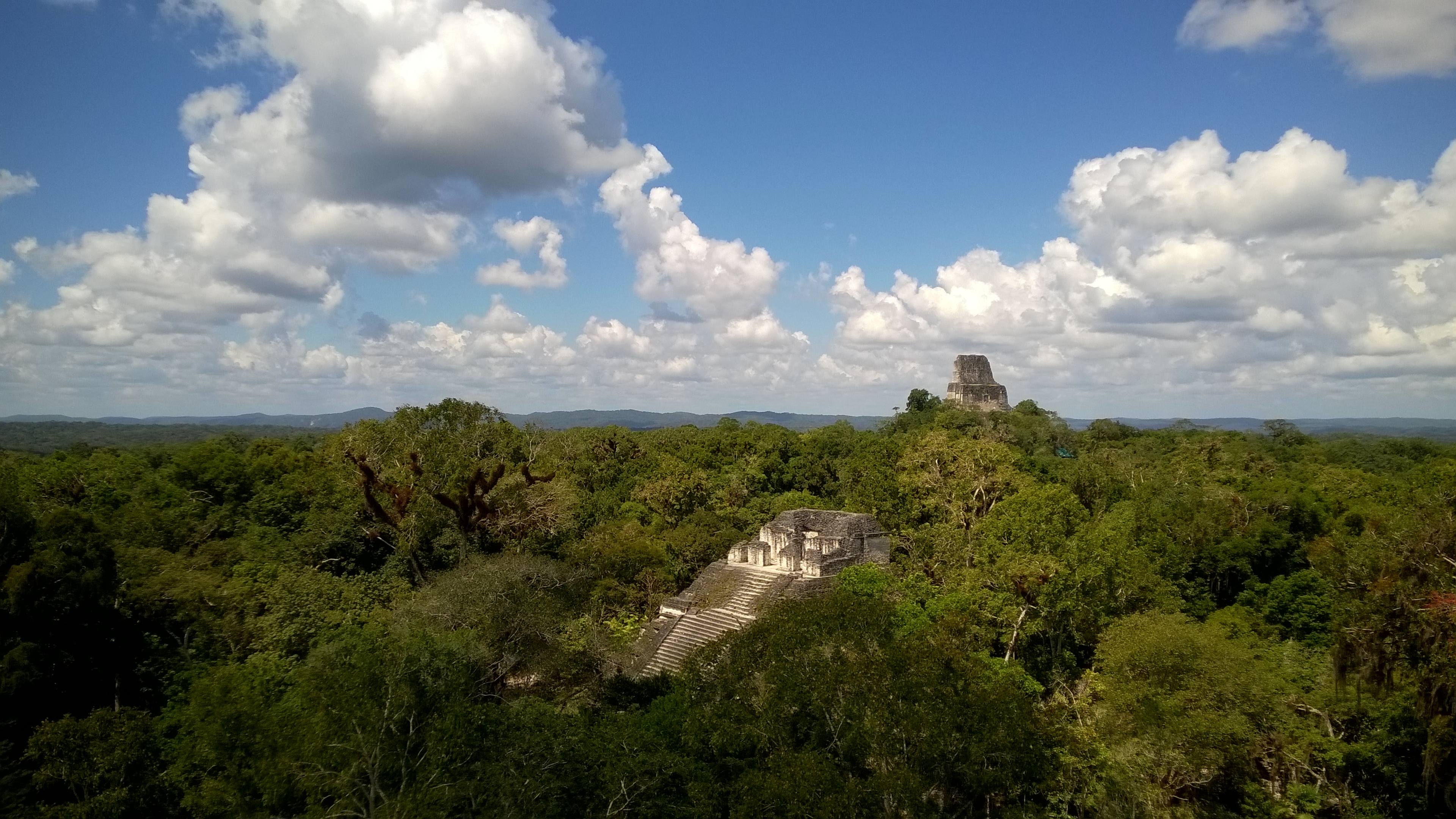 WP_20180302_067.jpg