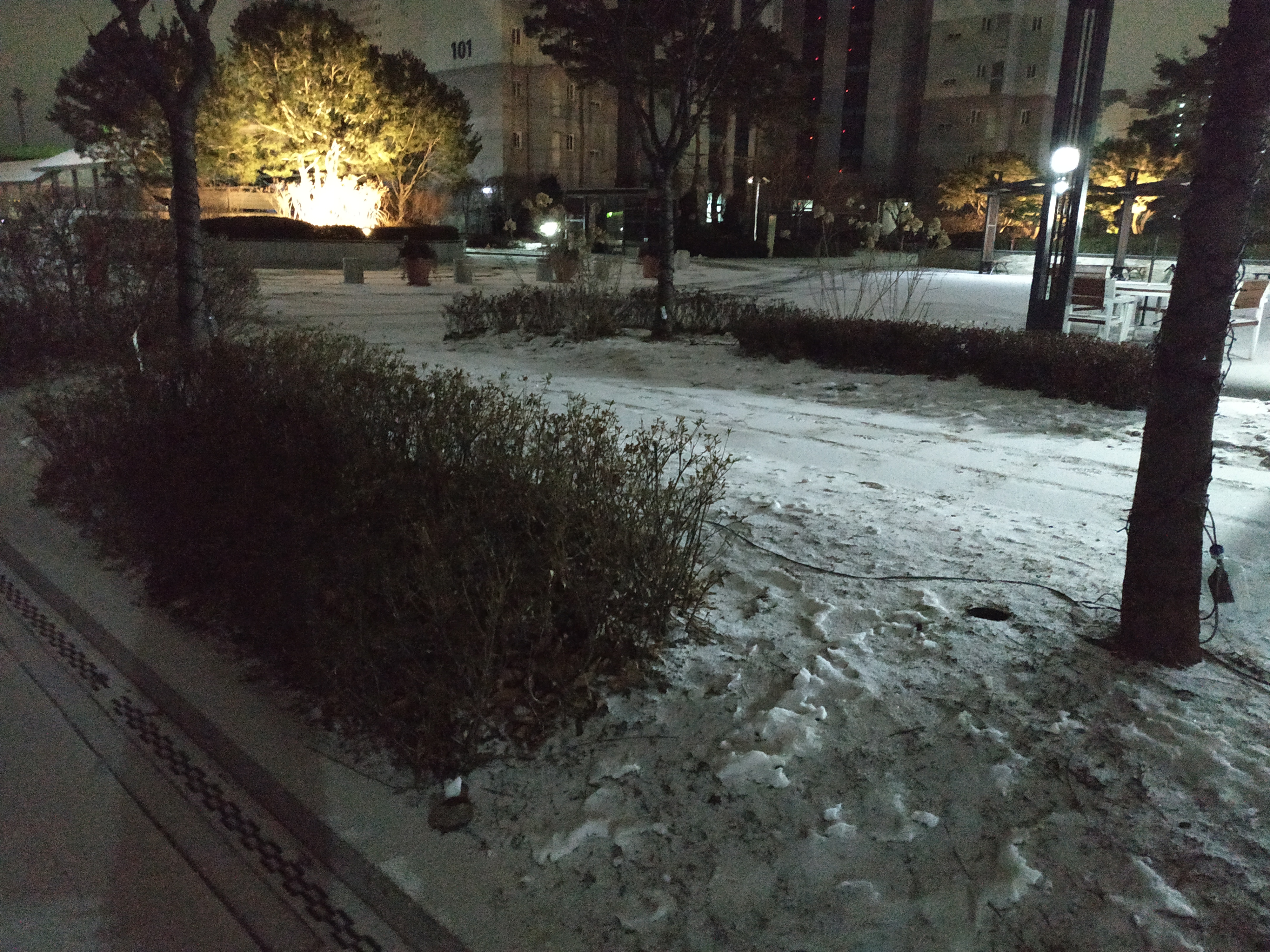 IMG_20201218_055306.jpg