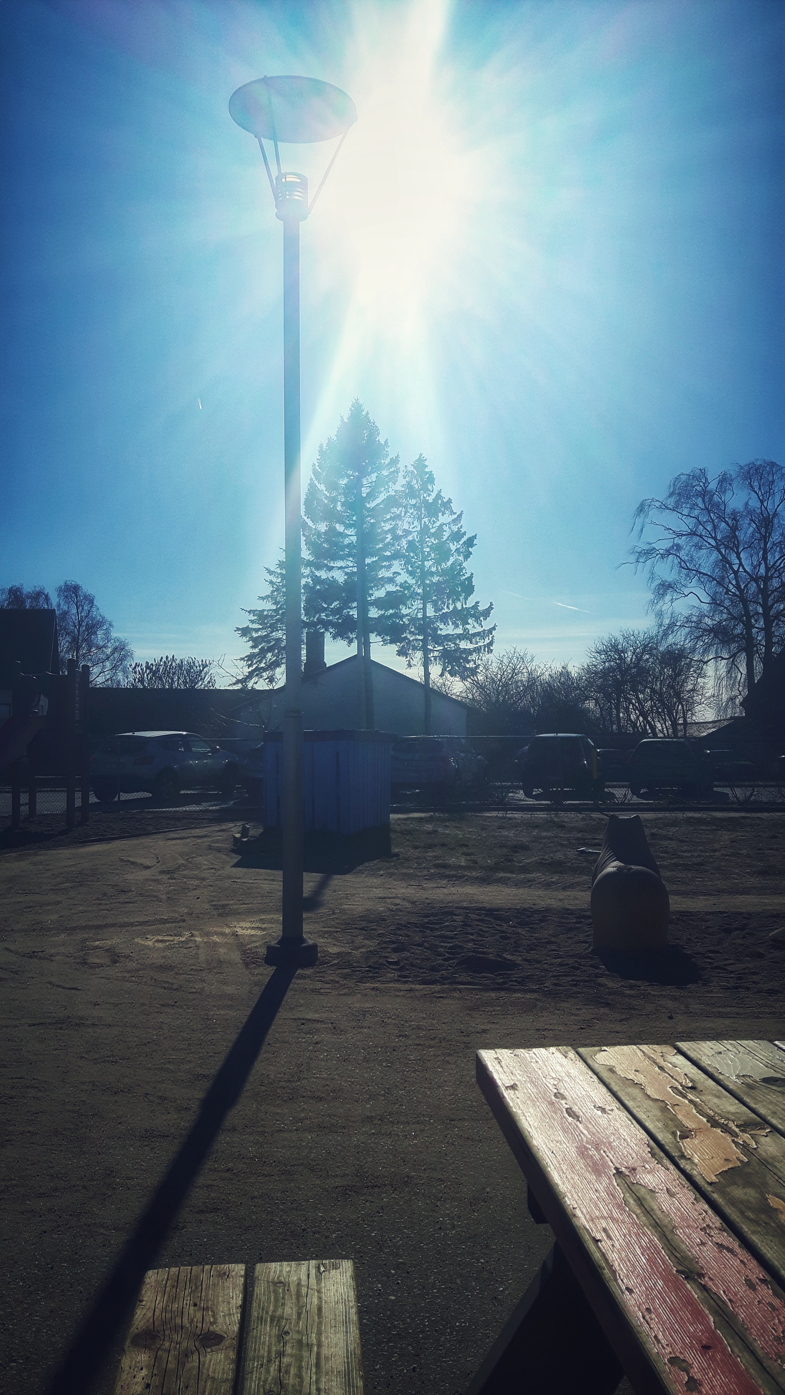 20190228_124525-02.jpeg