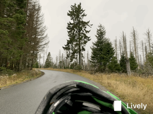 F1BCE90C-D82A-44DF-B43D-195EAA2F6FD8.gif