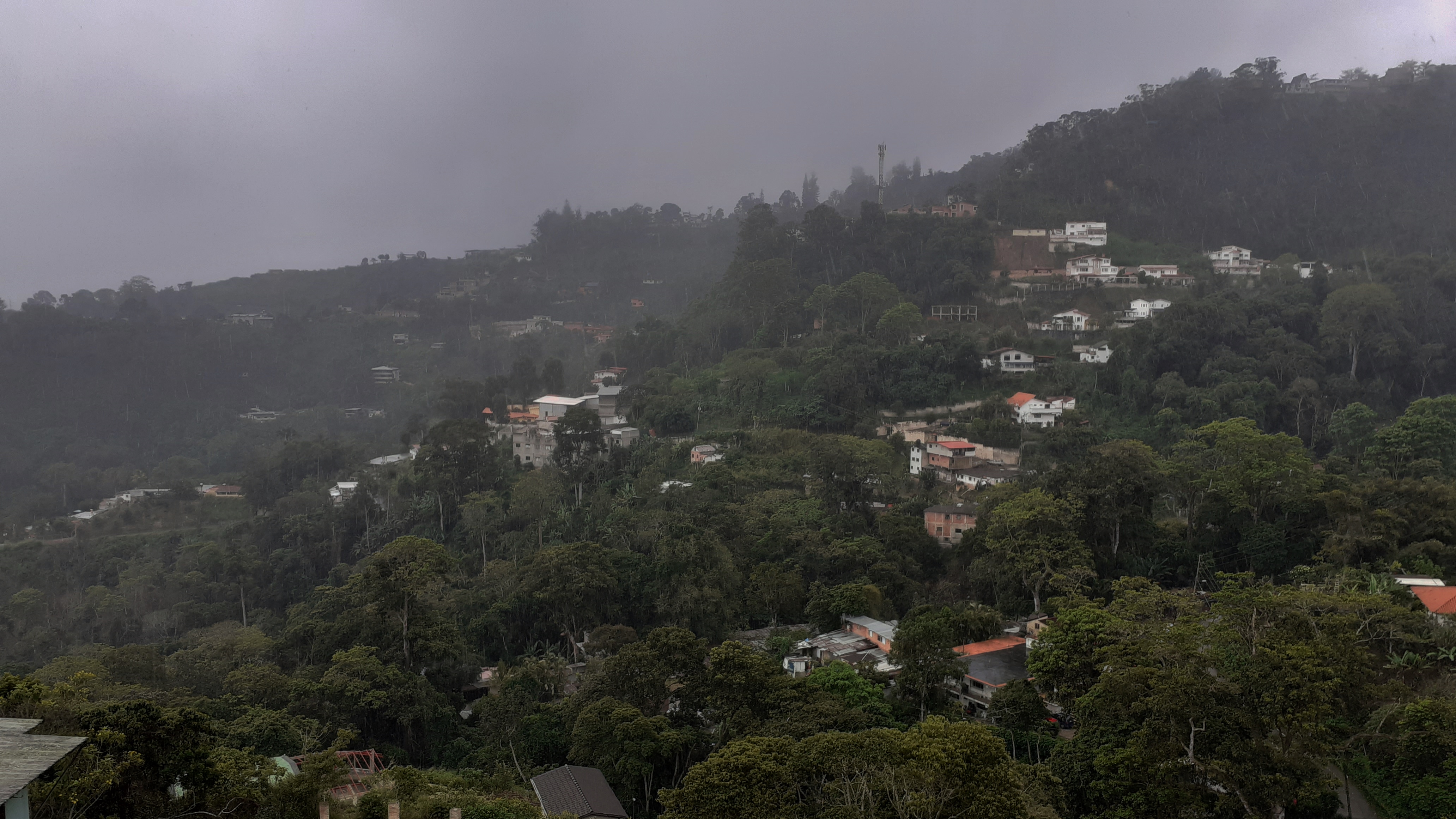 20201101_110955.jpg