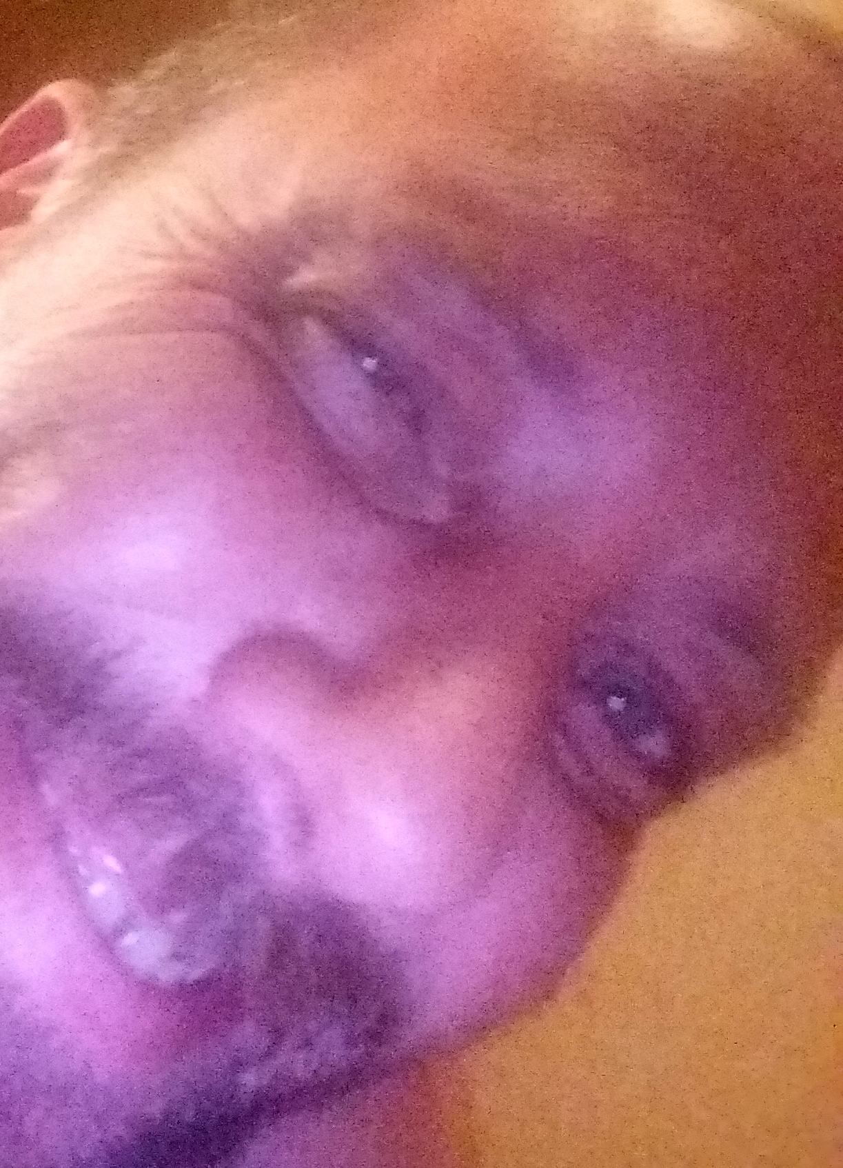 20180722_195253.jpg