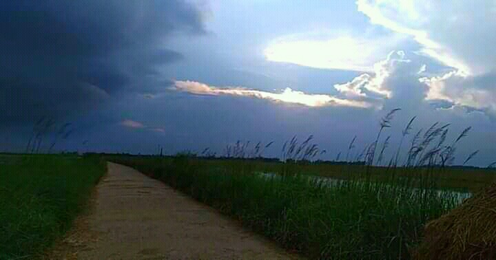 PicsArt_06-21-10.06.55.jpg