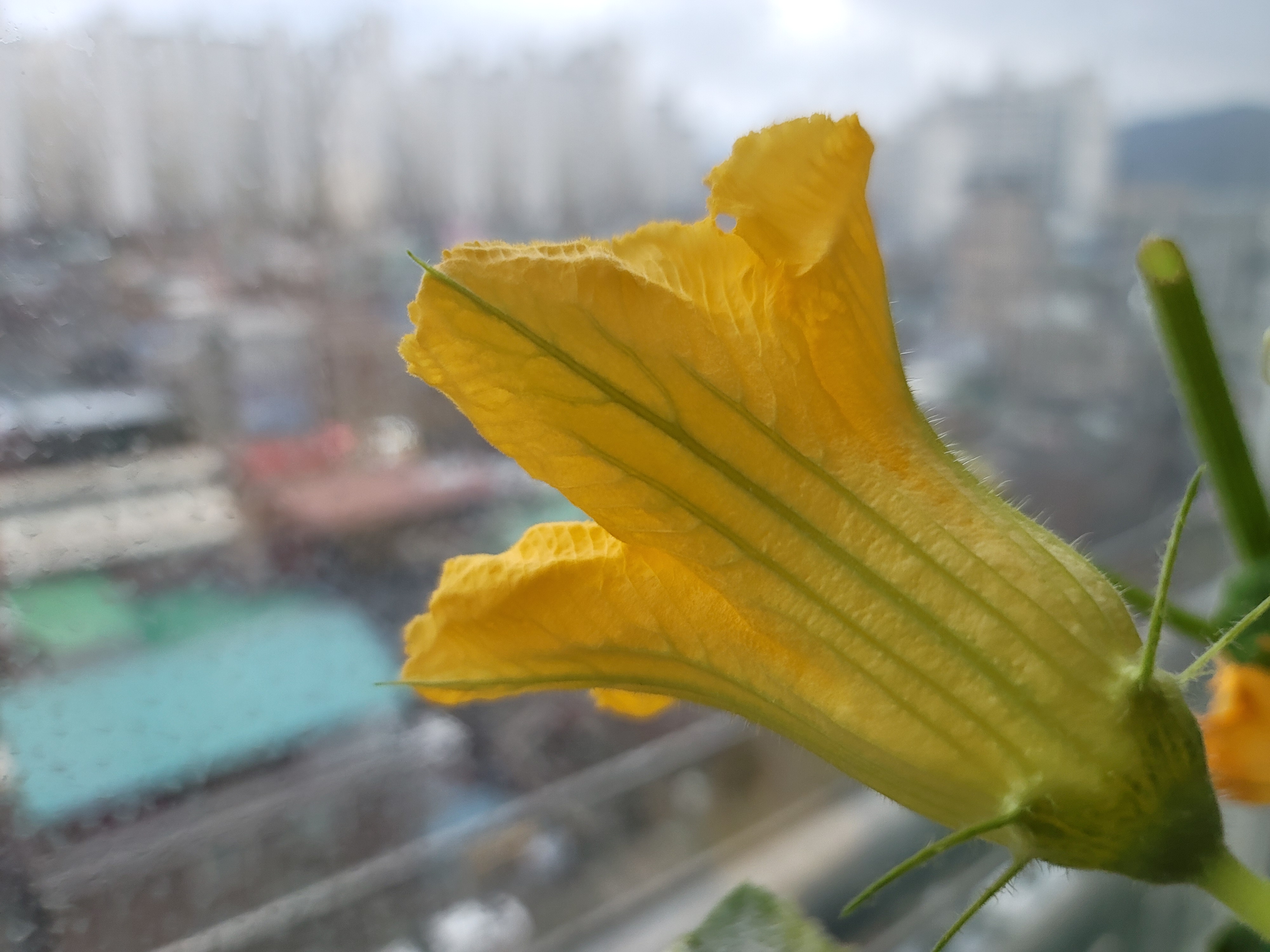 20201119_162328.jpg