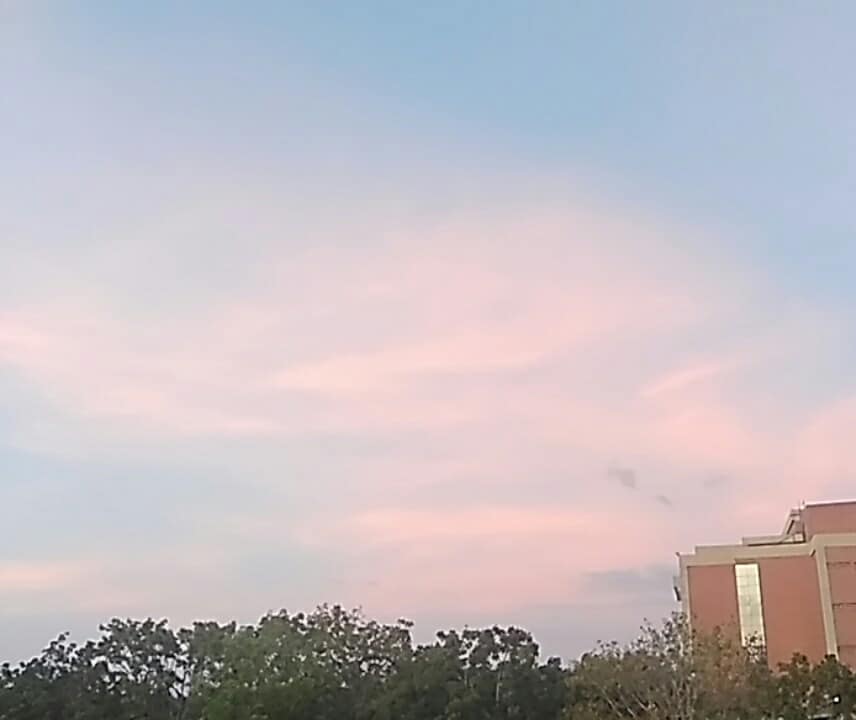 43745606_2380486591966634_4351235138558885888_n.jpg