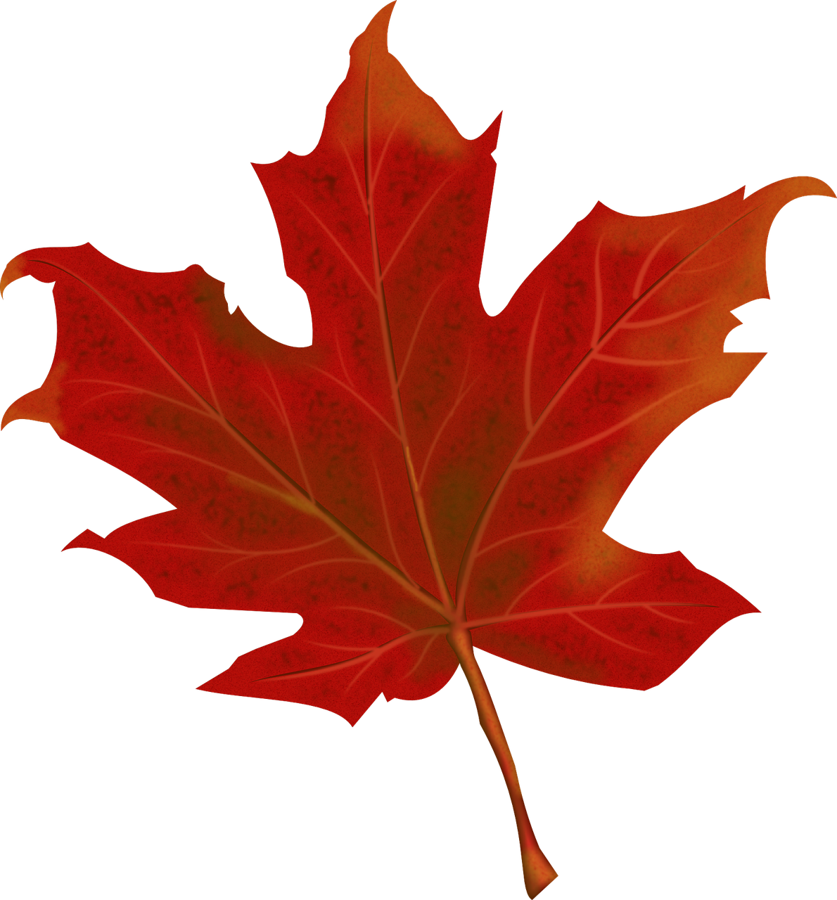 leaf-984998_1280.png