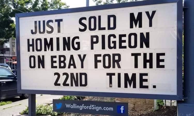 ebay.jpg